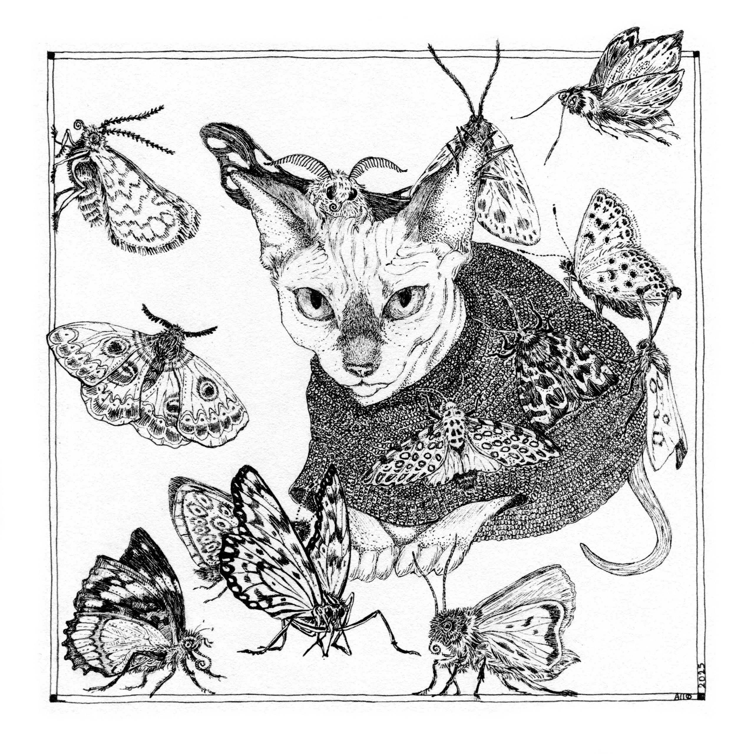 Графика. Художник Анна Перепечėнова-Феофанова. Официальный сайт