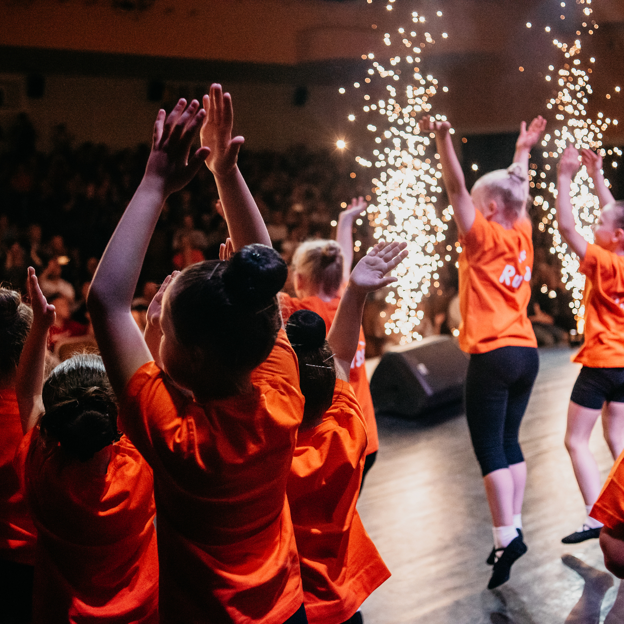 FEEDBACK. SASHA SKETCHER