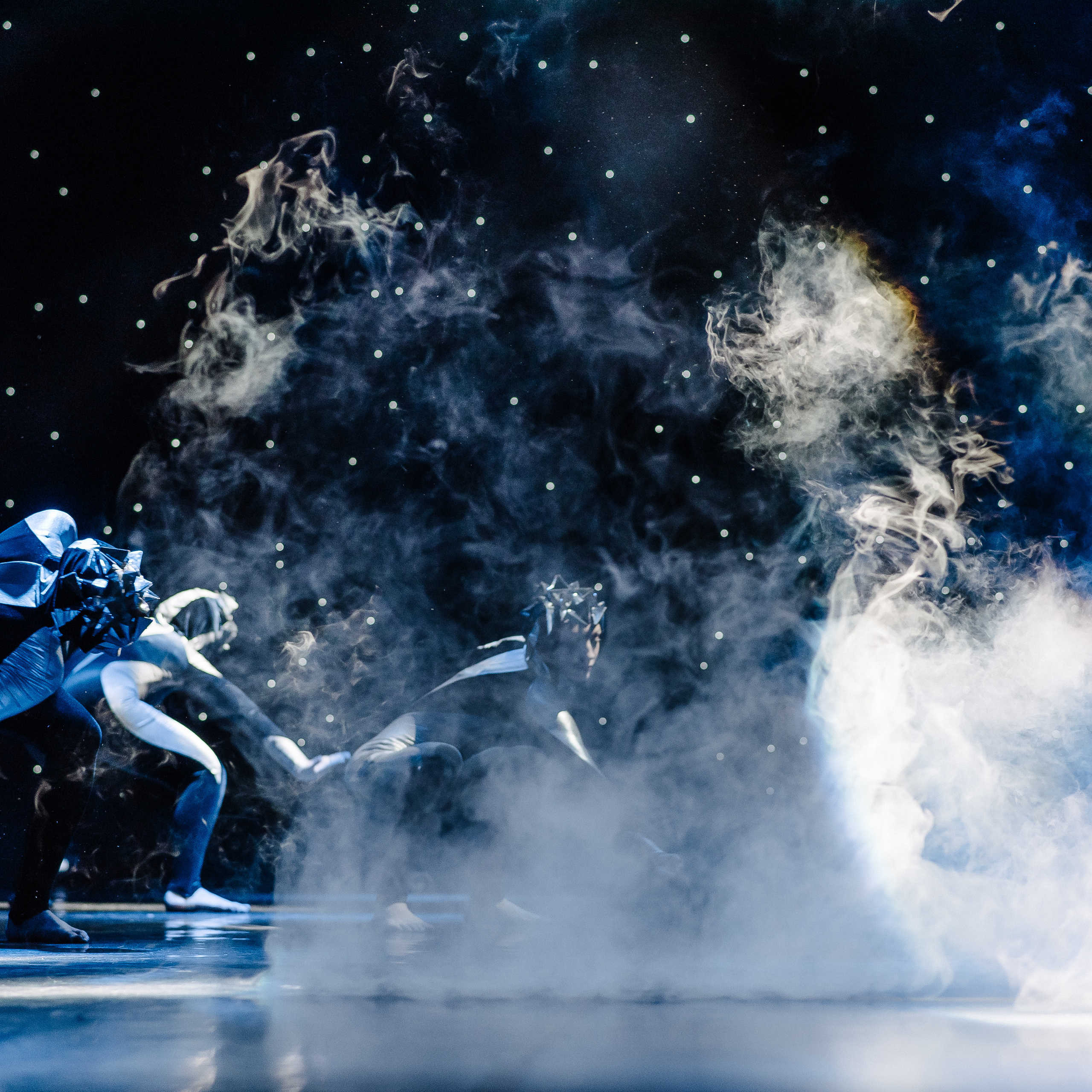 FEEDBACK. SASHA SKETCHER