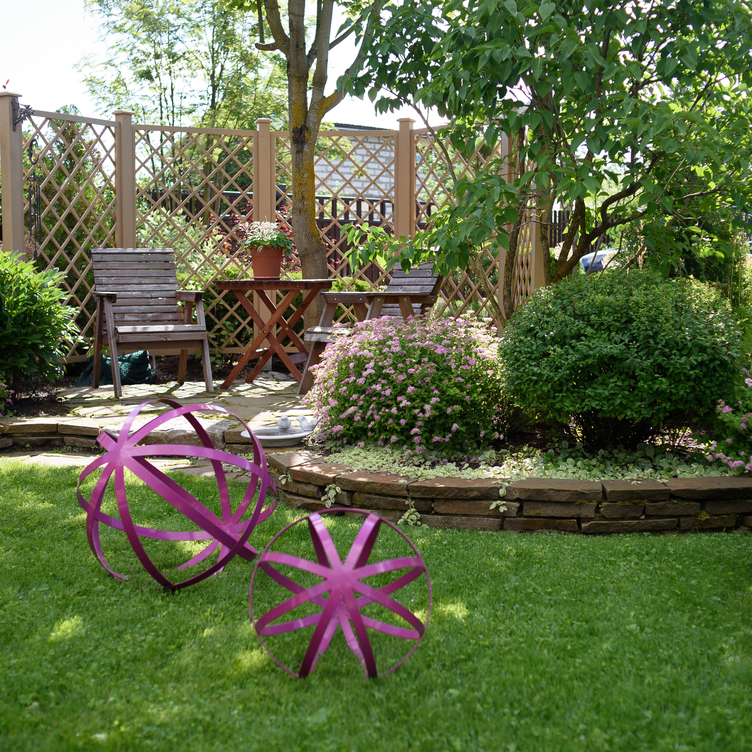 FEEDBACK. SASHA SKETCHER