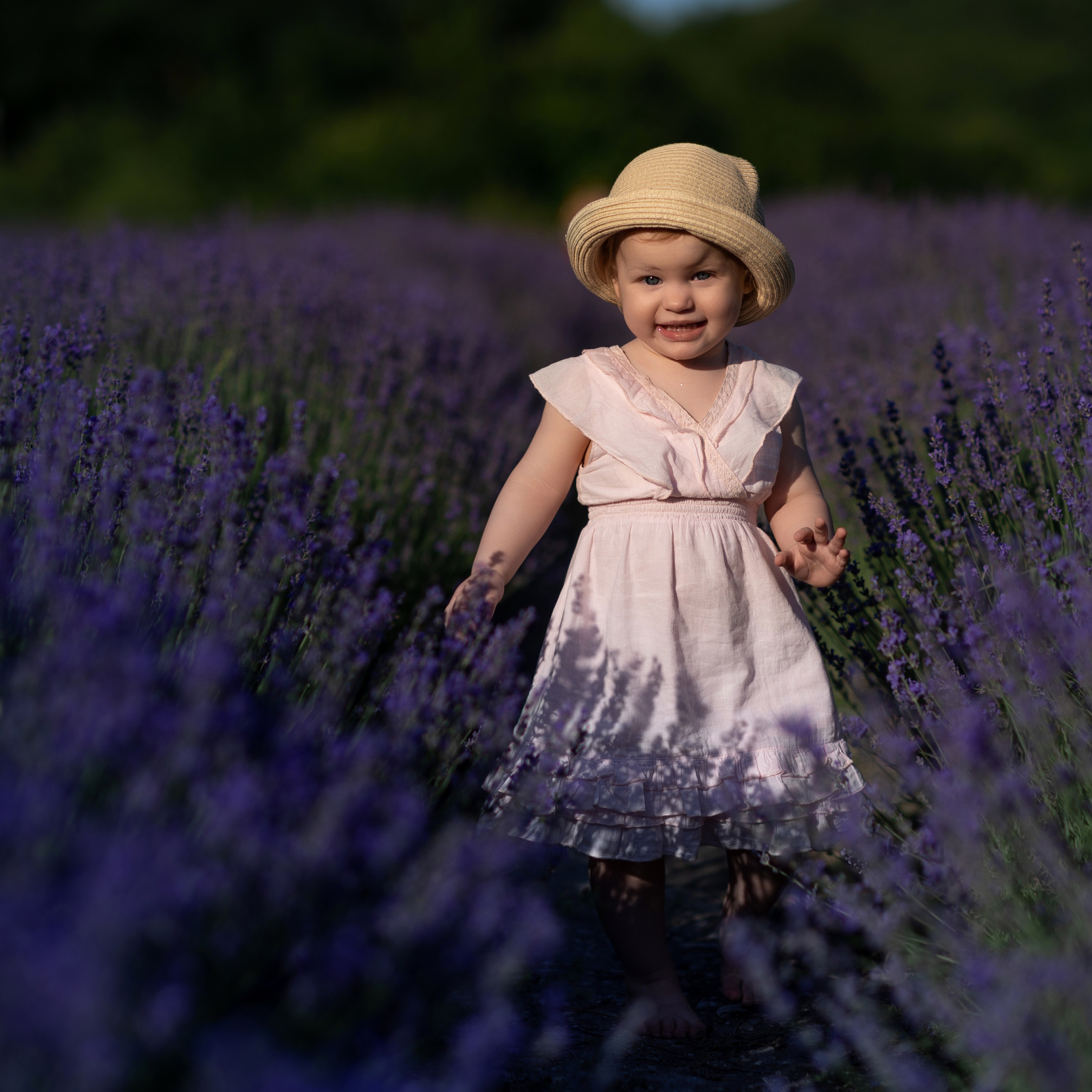 однажды в лаванде