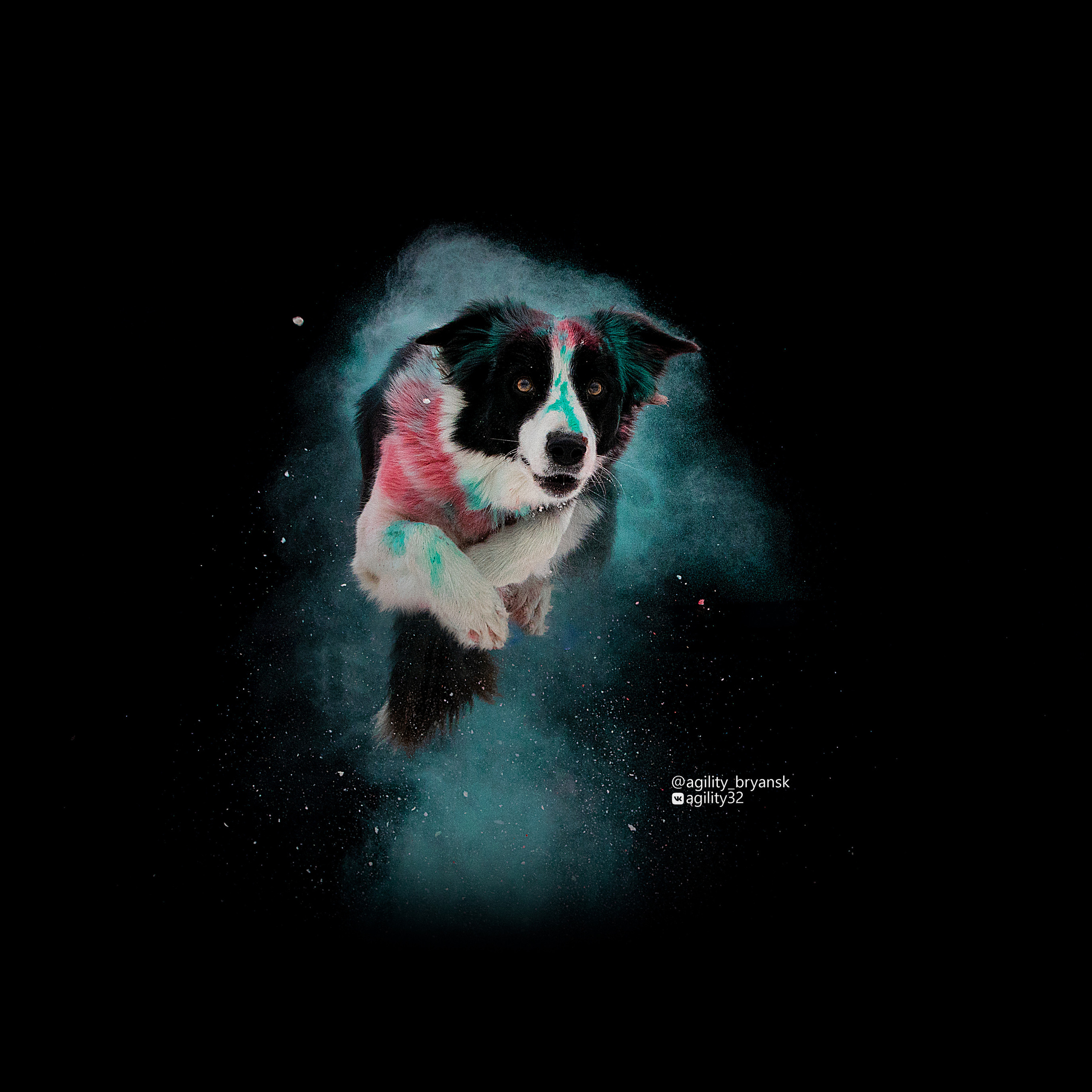 Краски Холи