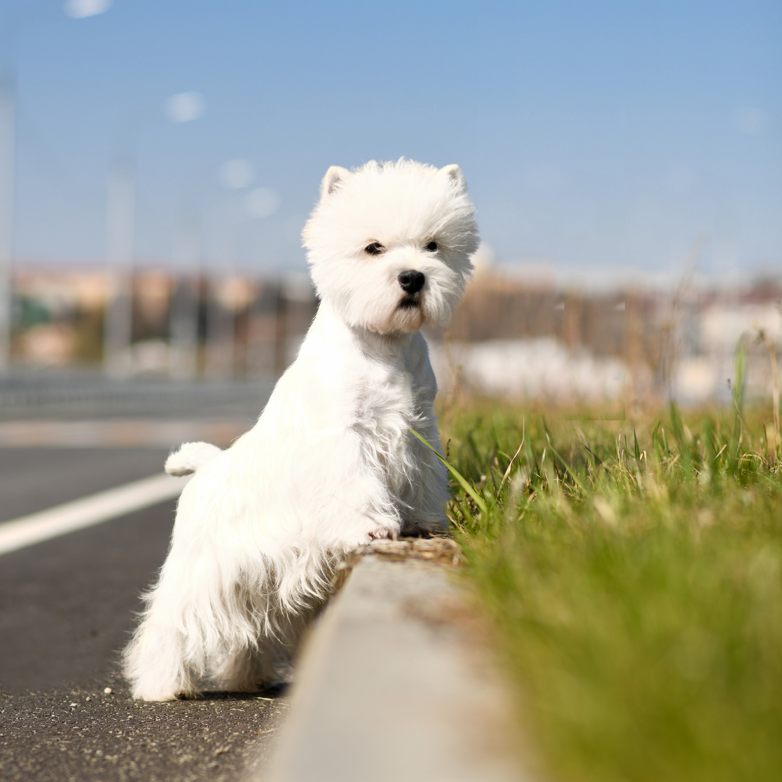 Экстерьерная съёмка