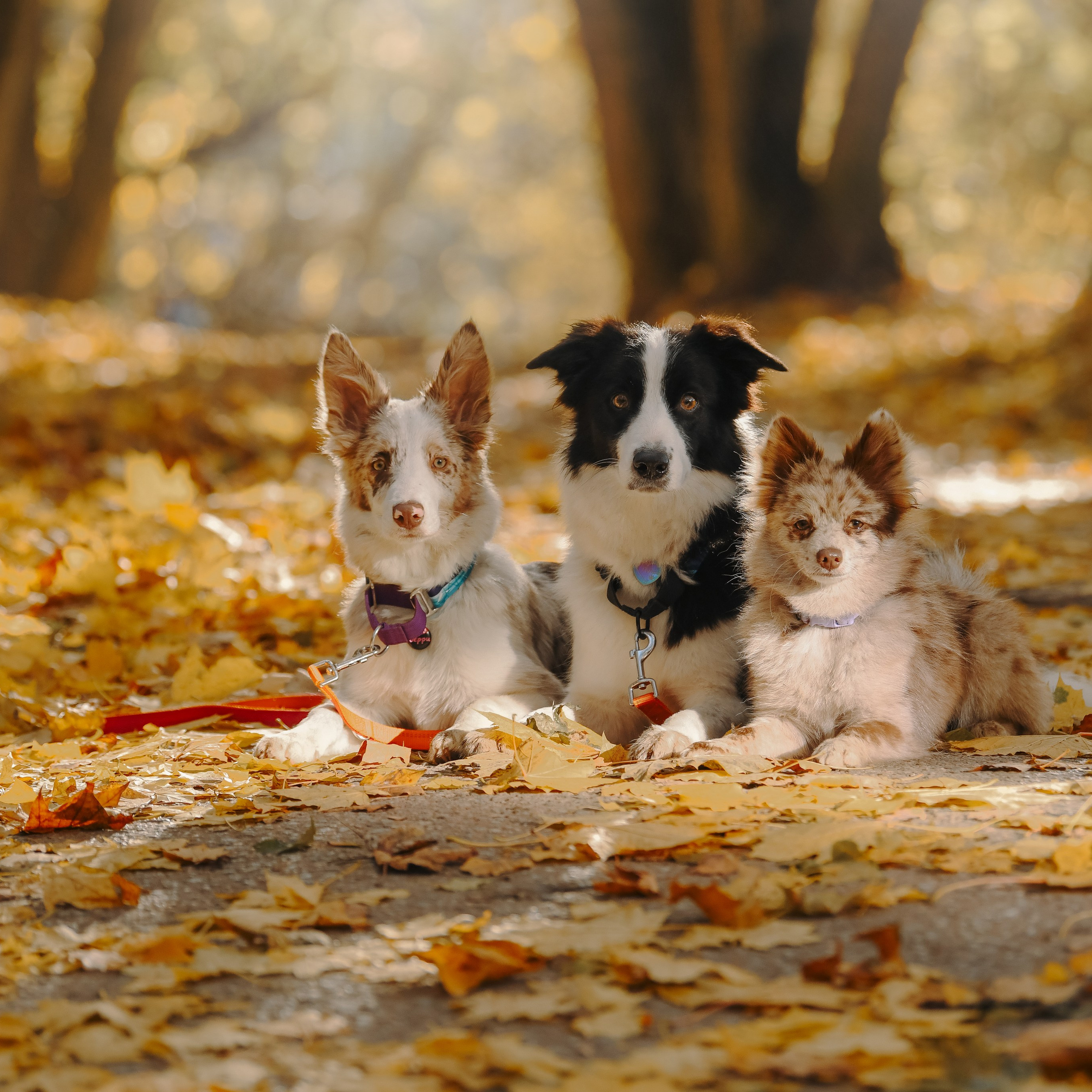 Художественная съёмка