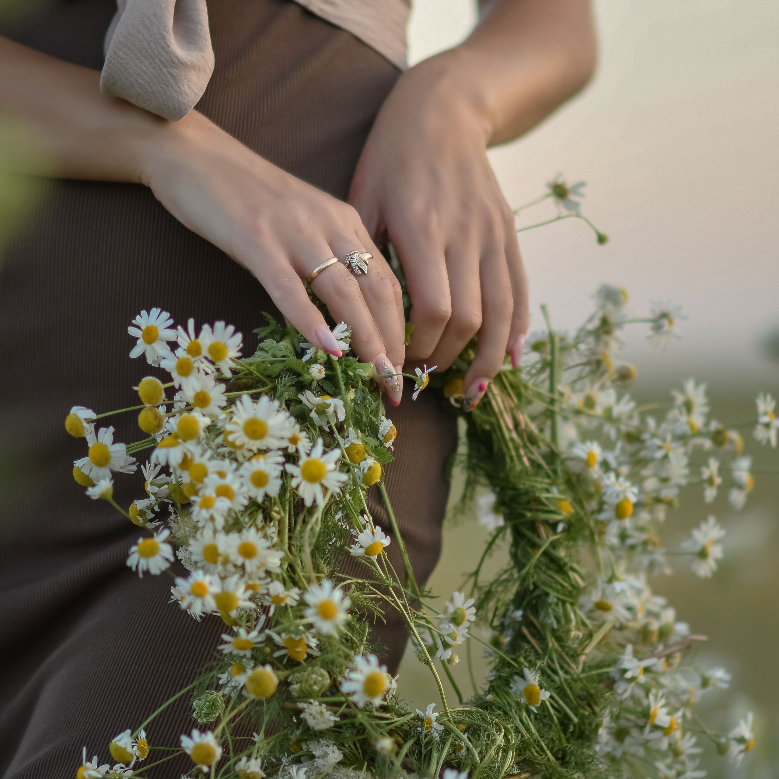 Фотограф Ольга Холина|Дебальцево