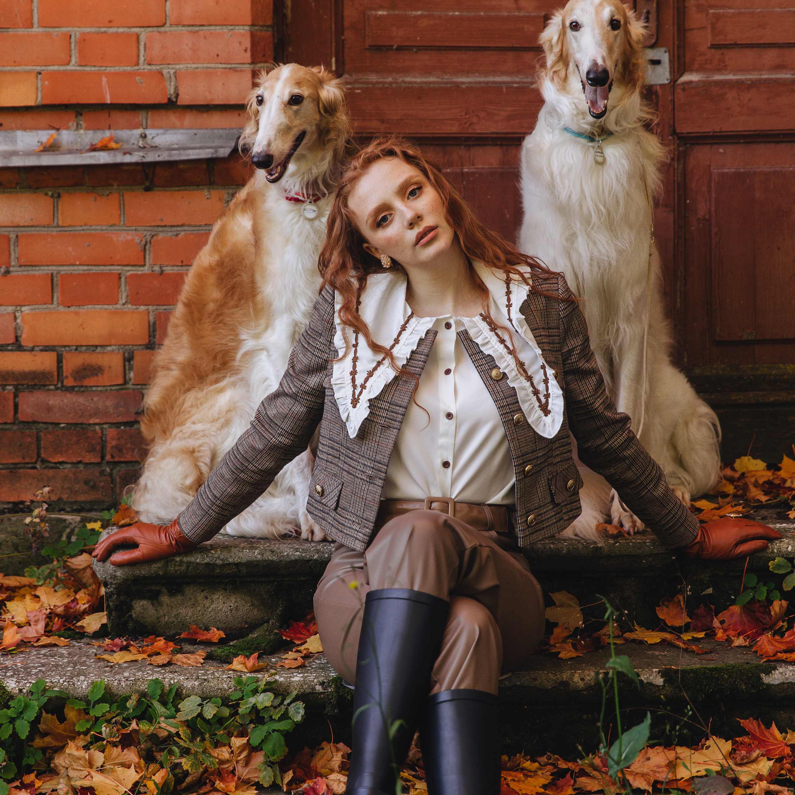 Фотосессия с собаками.