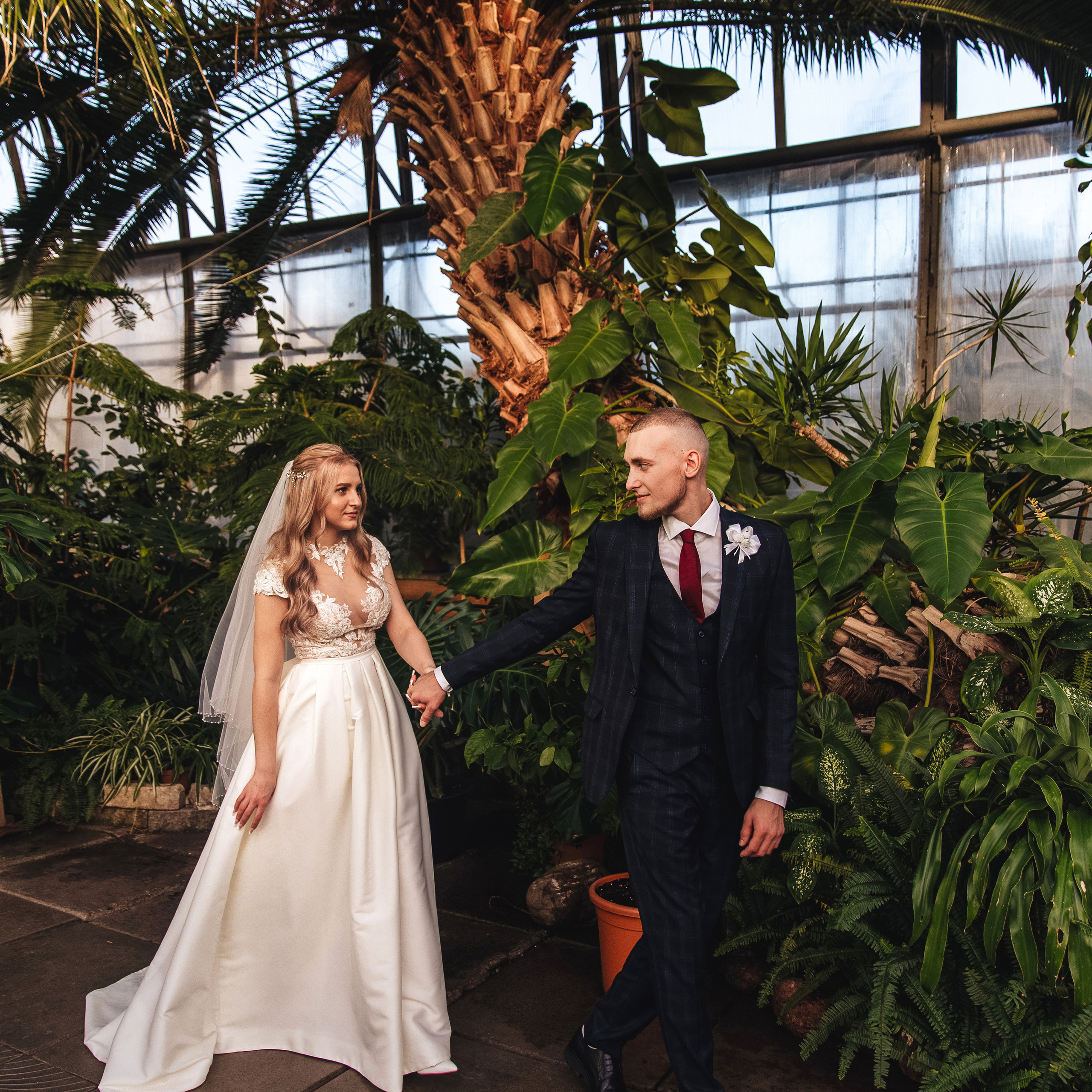 Оранжерея Таврического сада.