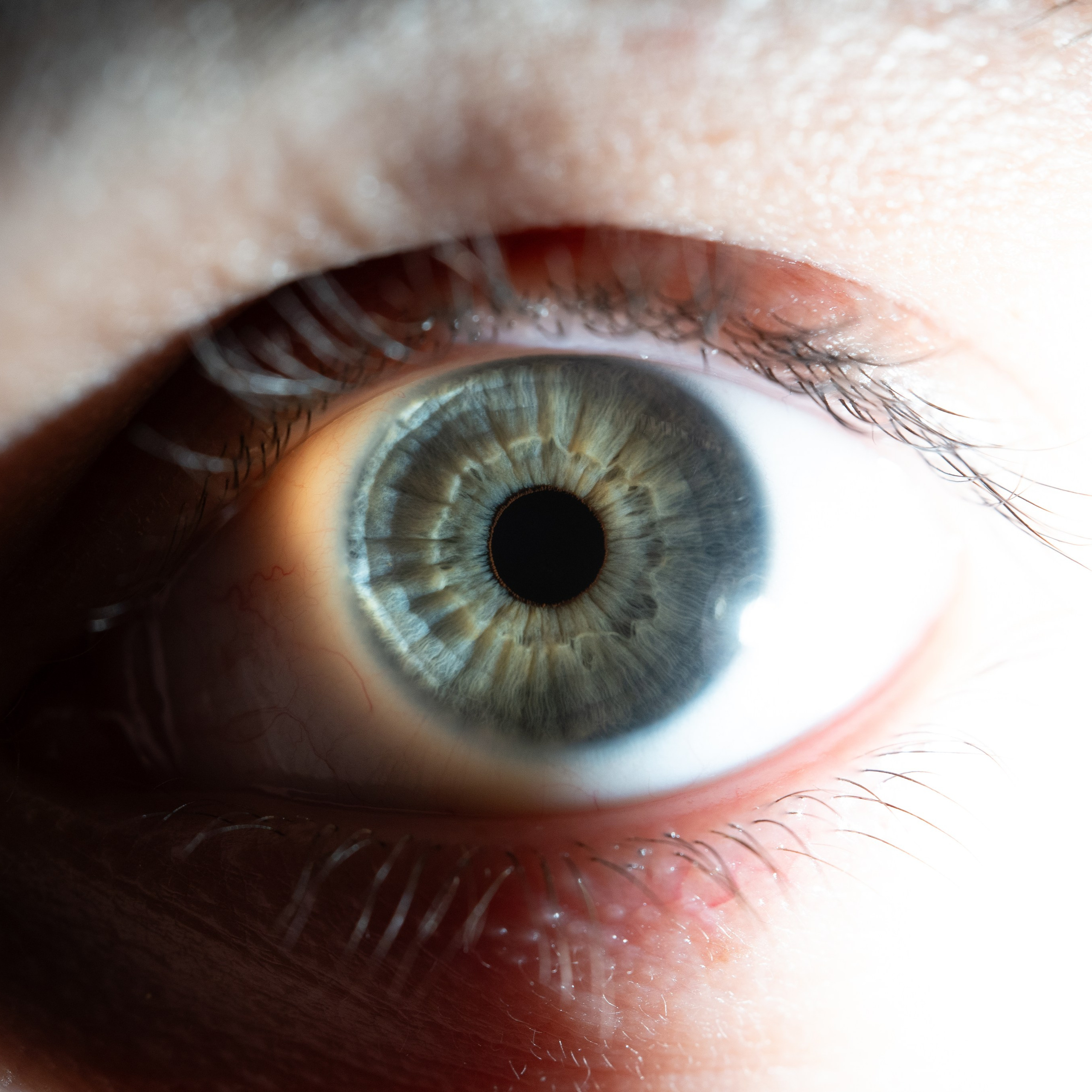 Фотография макро радужки глаза, Севастополь, Ojo Art , фото студия радужки глаза в Крыму, Севастополь 