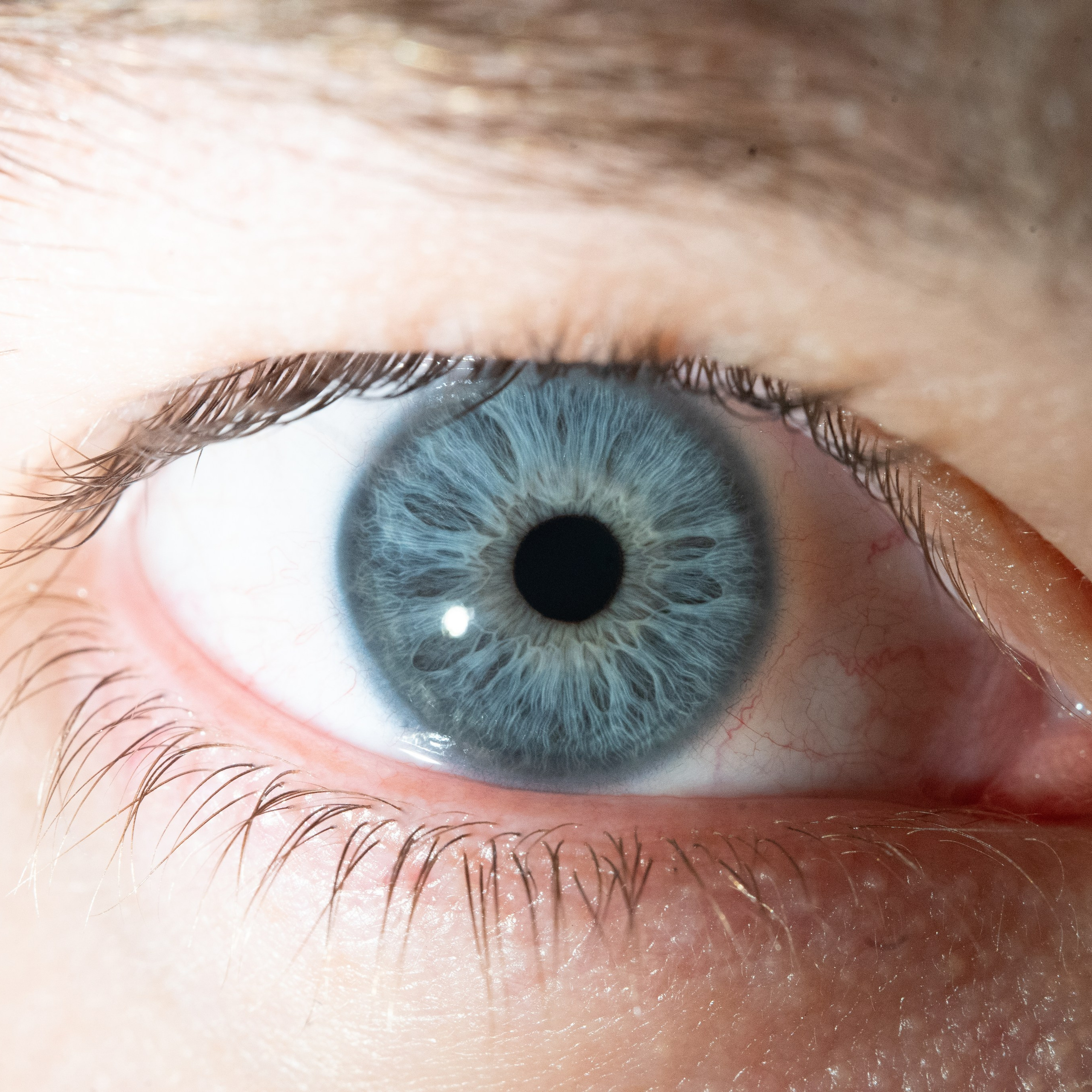 Портфолио — Галерея глаз  Ojo Art. Фотостудия макросъёмки радужки глаз в Севастополе «Ojo art»