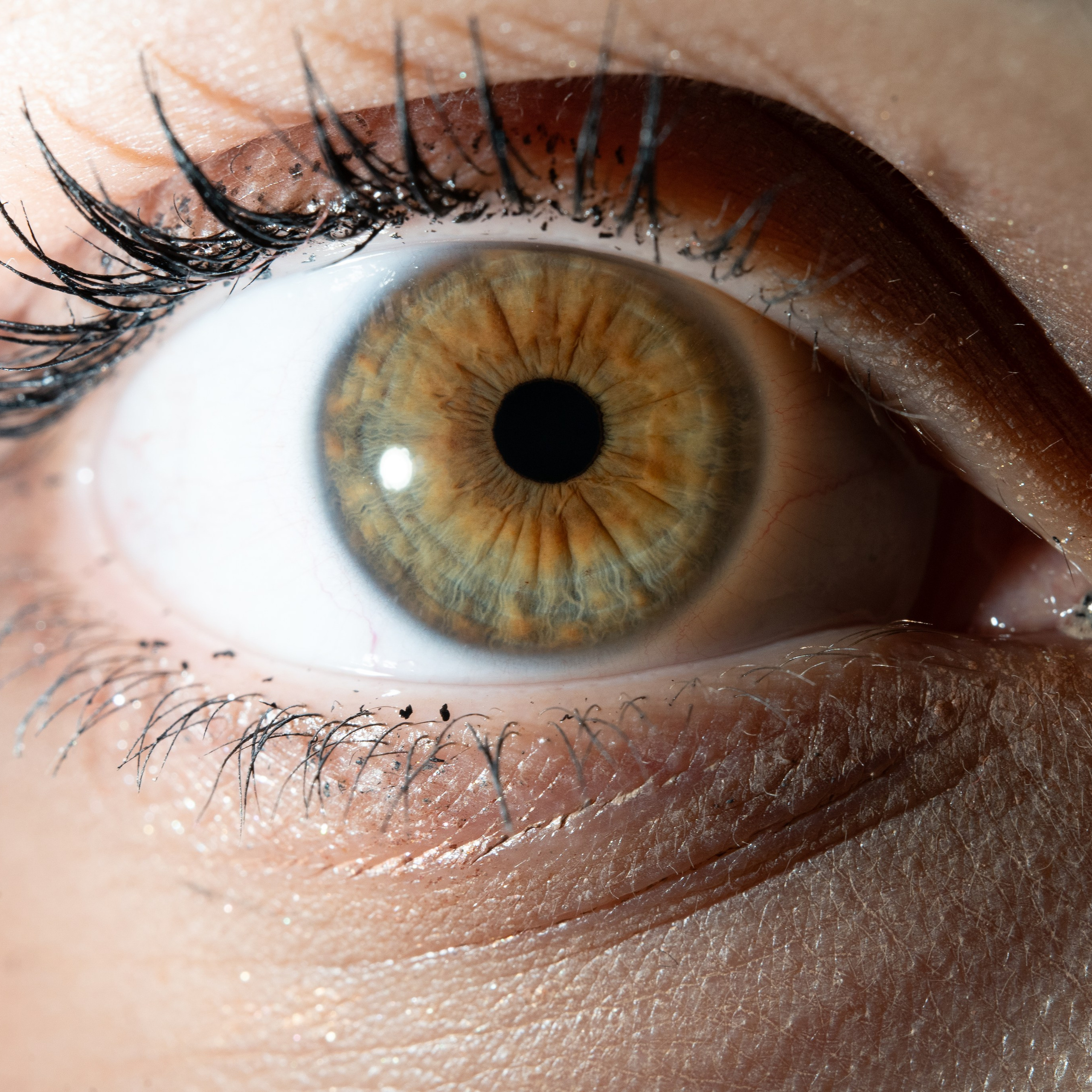 Фотография макро радужки глаза, Севастополь, Ojo Art , фото студия радужки глаза в Крыму, Севастополь 