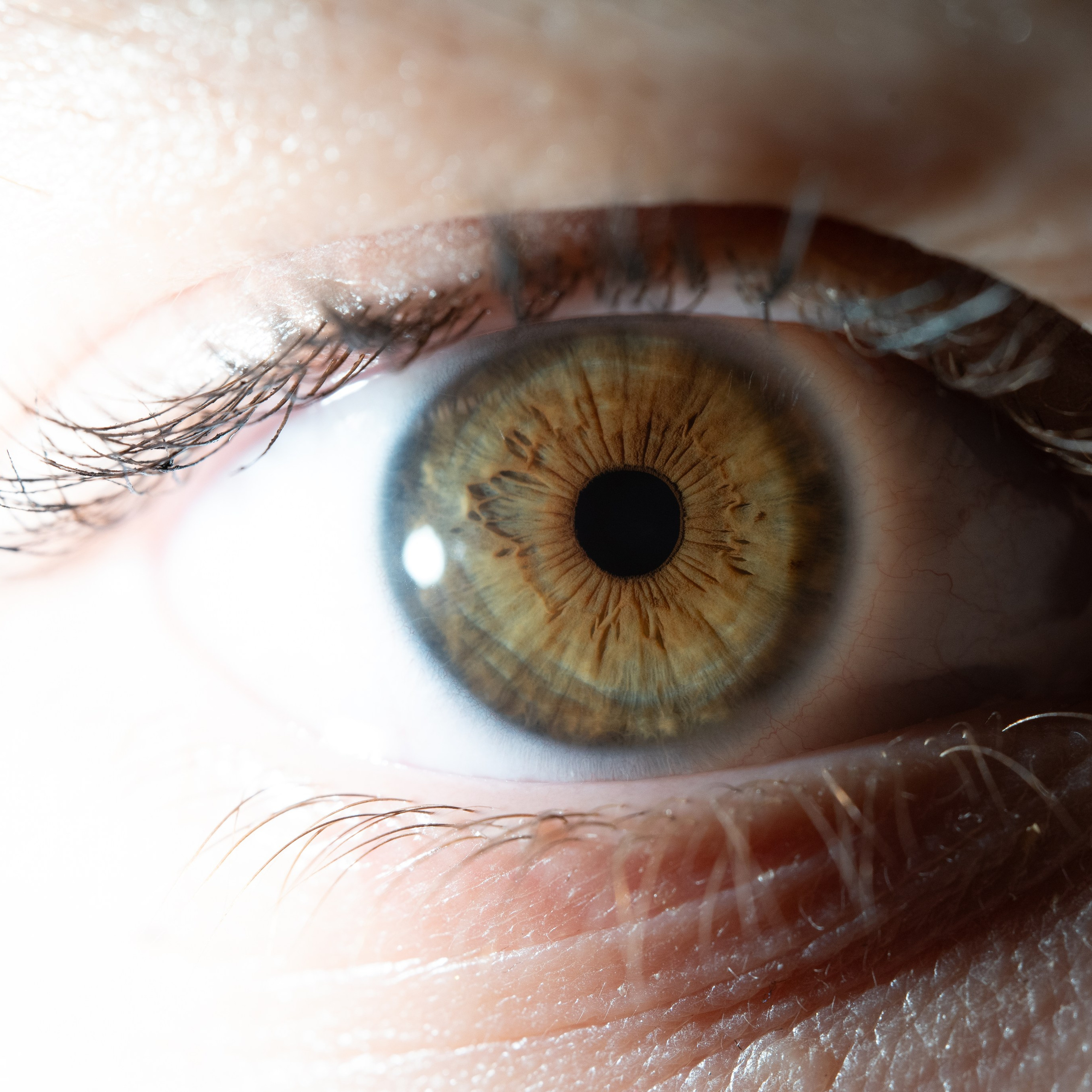 Фотография макро радужки глаза, Севастополь, Ojo Art , фото студия радужки глаза в Крыму, Севастополь 