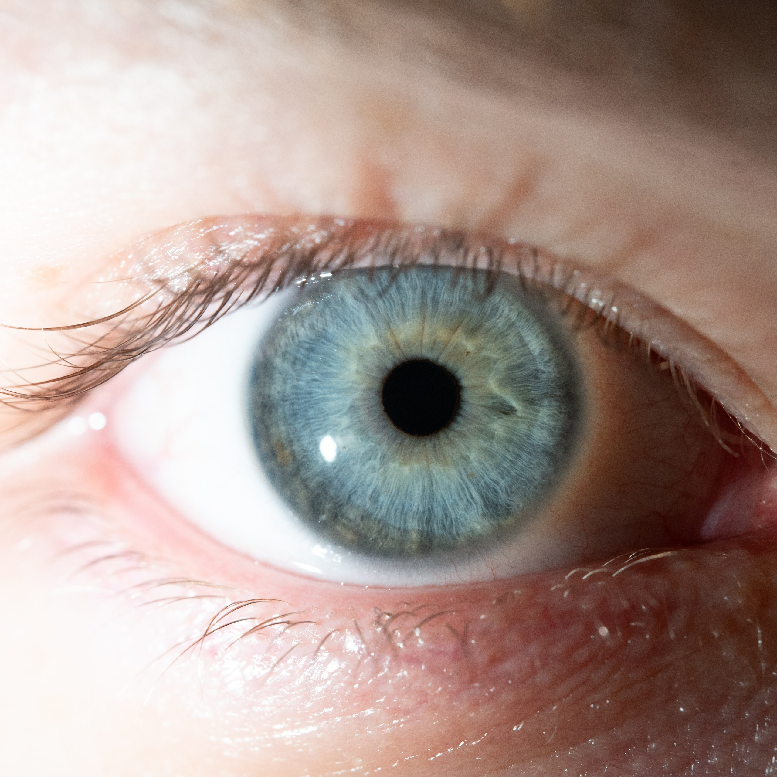 Фотография макро радужки глаза, Севастополь, Ojo Art , фото студия радужки глаза в Крыму, Севастополь 