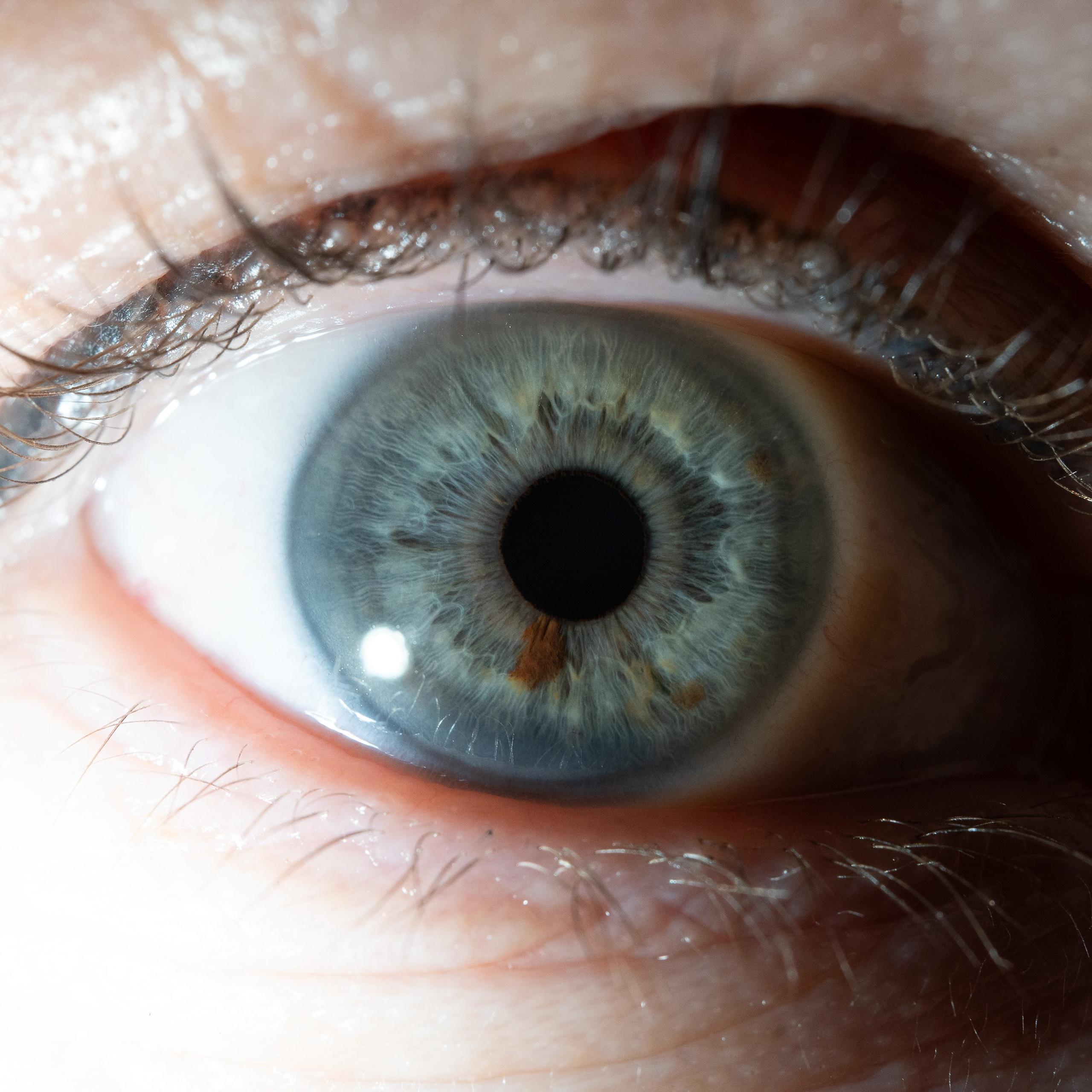 Фотография макро радужки глаза, Севастополь, Ojo Art , фото студия радужки глаза в Крыму, Севастополь 