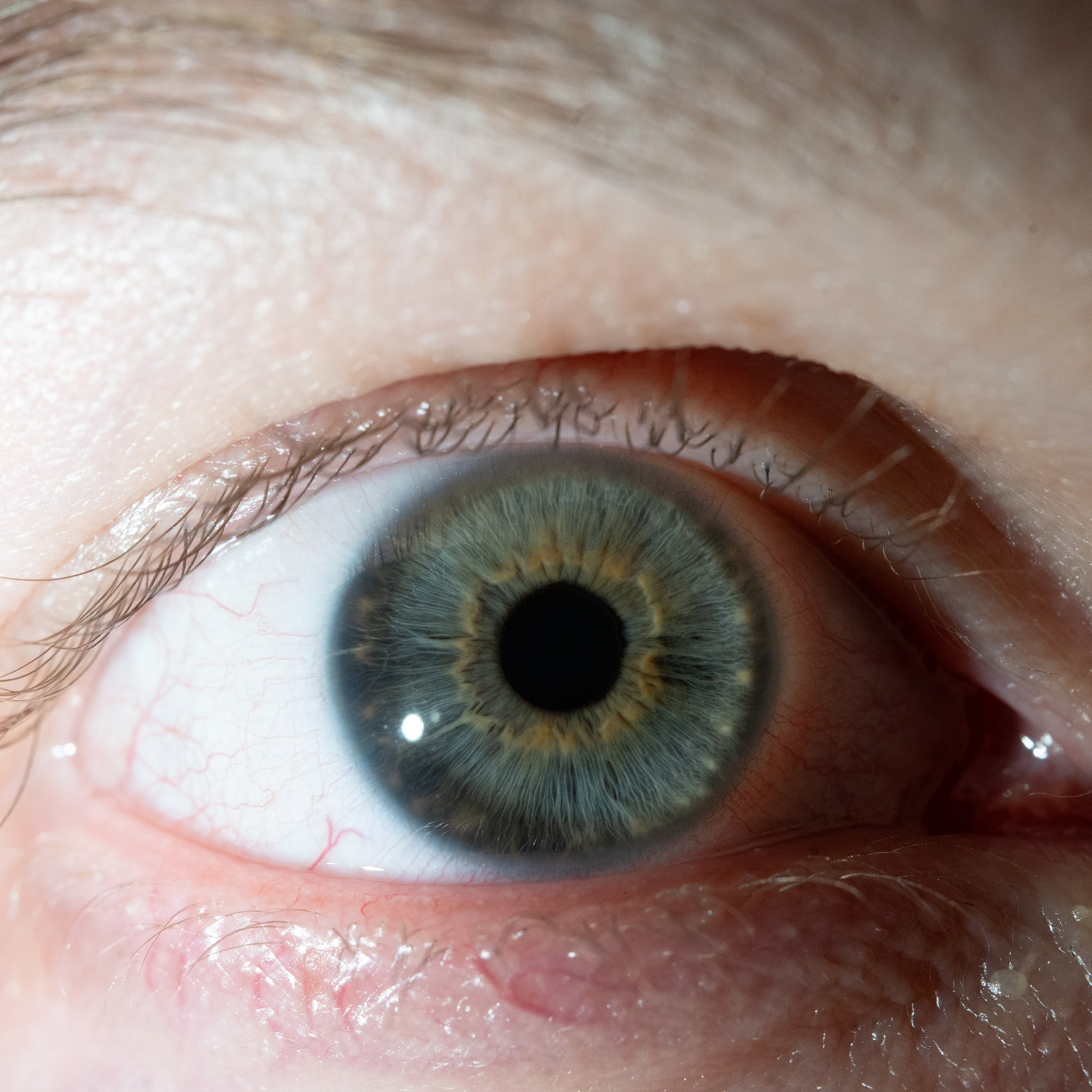 Портфолио — Галерея глаз  Ojo Art. Фотостудия макросъёмки радужки глаз в Севастополе «Ojo art»