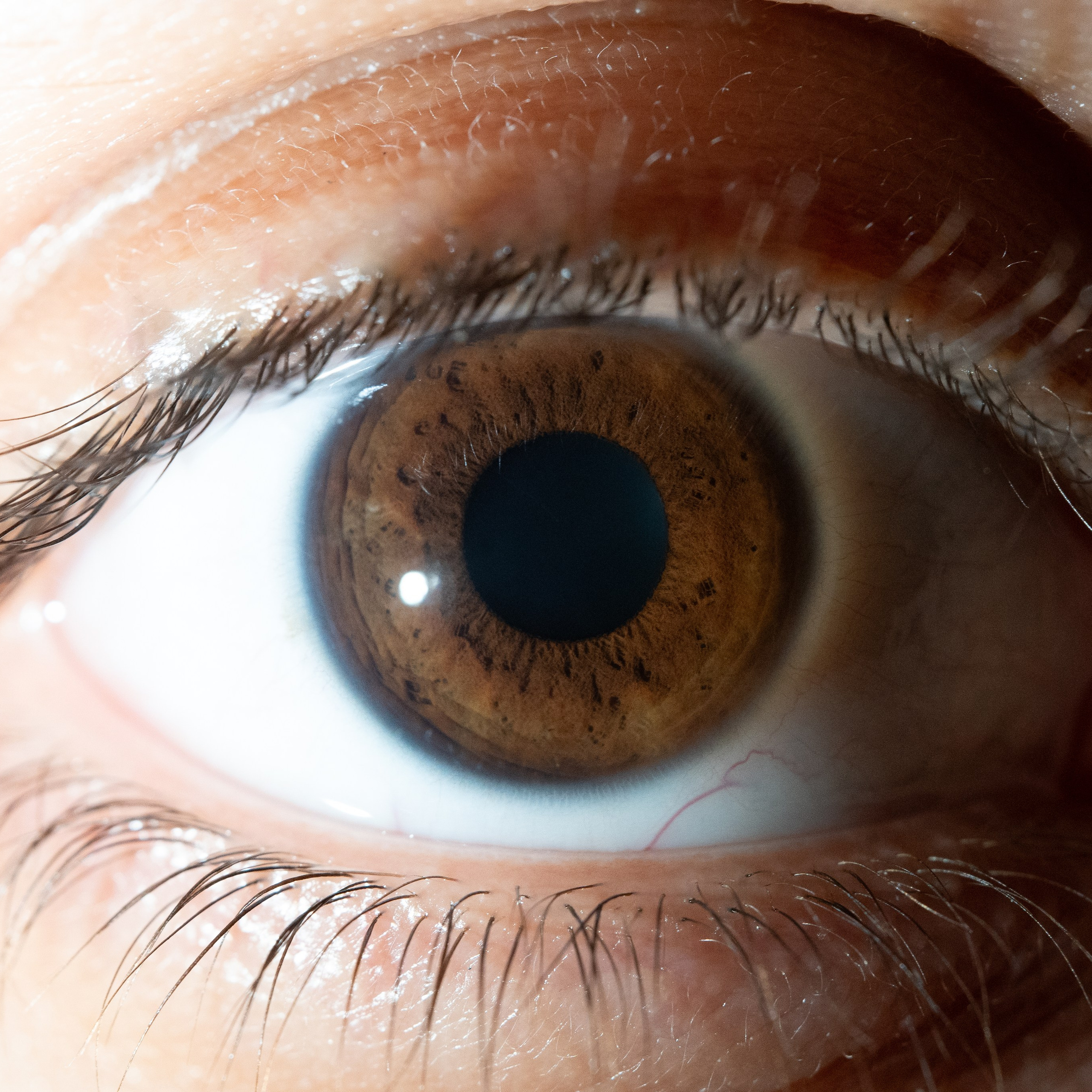 Портфолио — Галерея глаз  Ojo Art. Фотостудия макросъёмки радужки глаз в Севастополе «Ojo art»