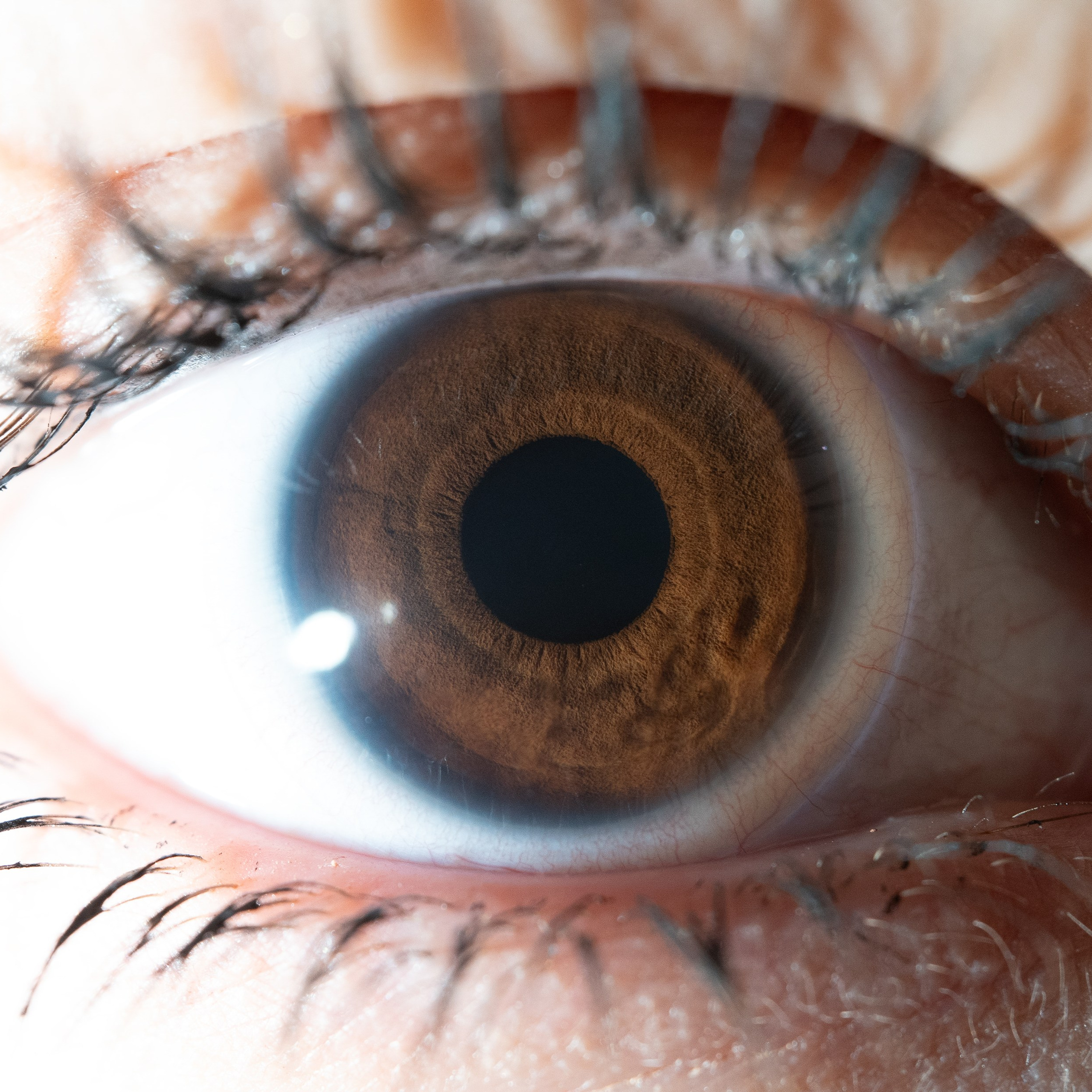 Фотография макро радужки глаза, Севастополь, Ojo Art , фото студия радужки глаза в Крыму, Севастополь 