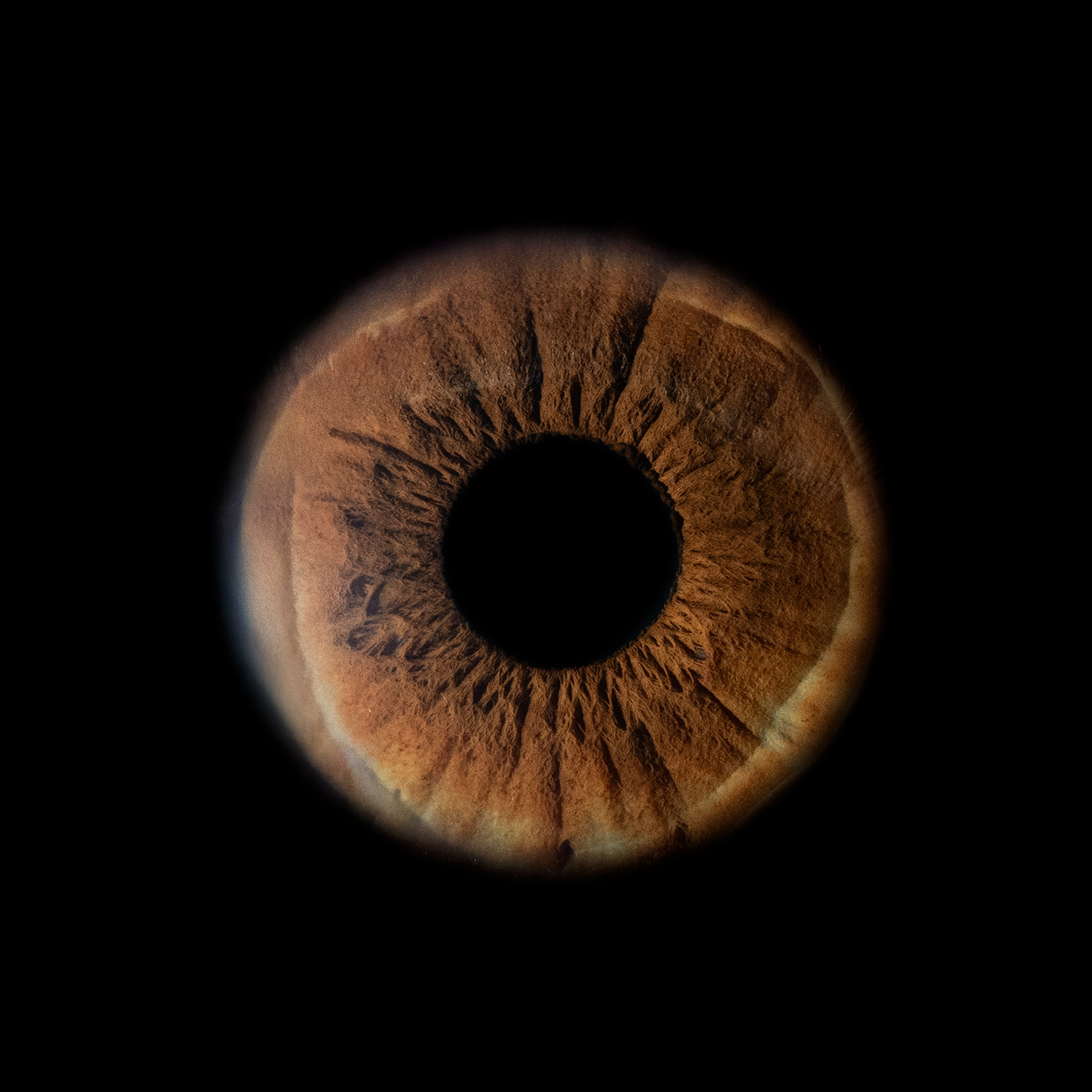 Фото радужки глаза, Севастополь, Ojo Art , фото студия радужки глаза в Крыму.