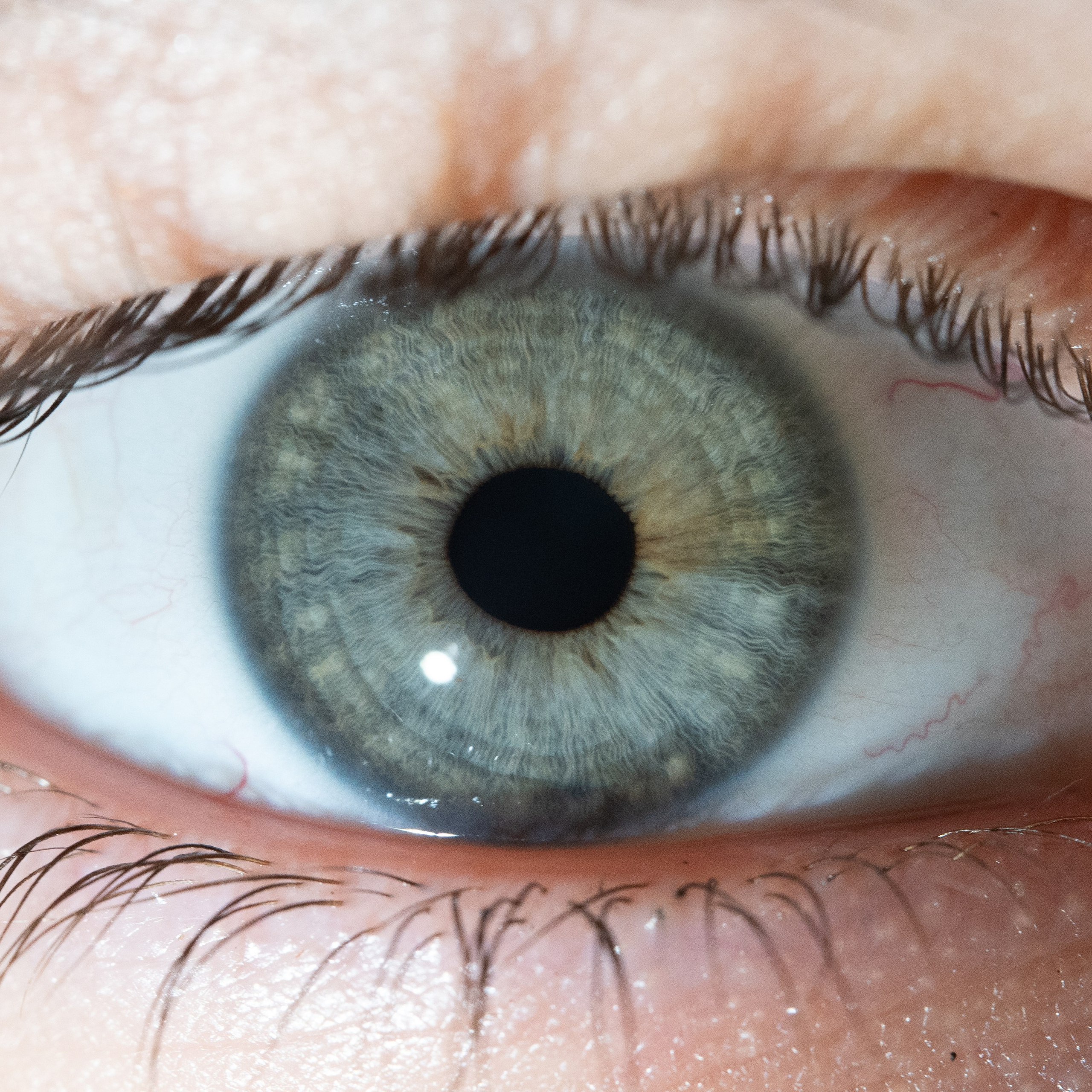 Портфолио — Галерея глаз  Ojo Art. Фотостудия макросъёмки радужки глаз в Севастополе «Ojo art»