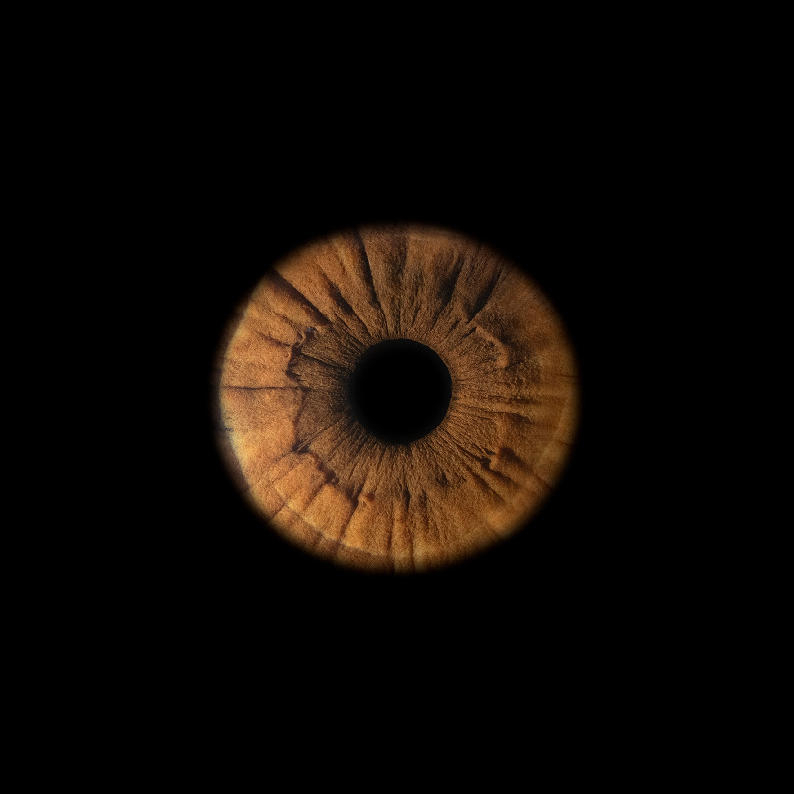 Фото радужки глаза, Севастополь, Ojo Art , фото студия радужки глаза в Крыму.