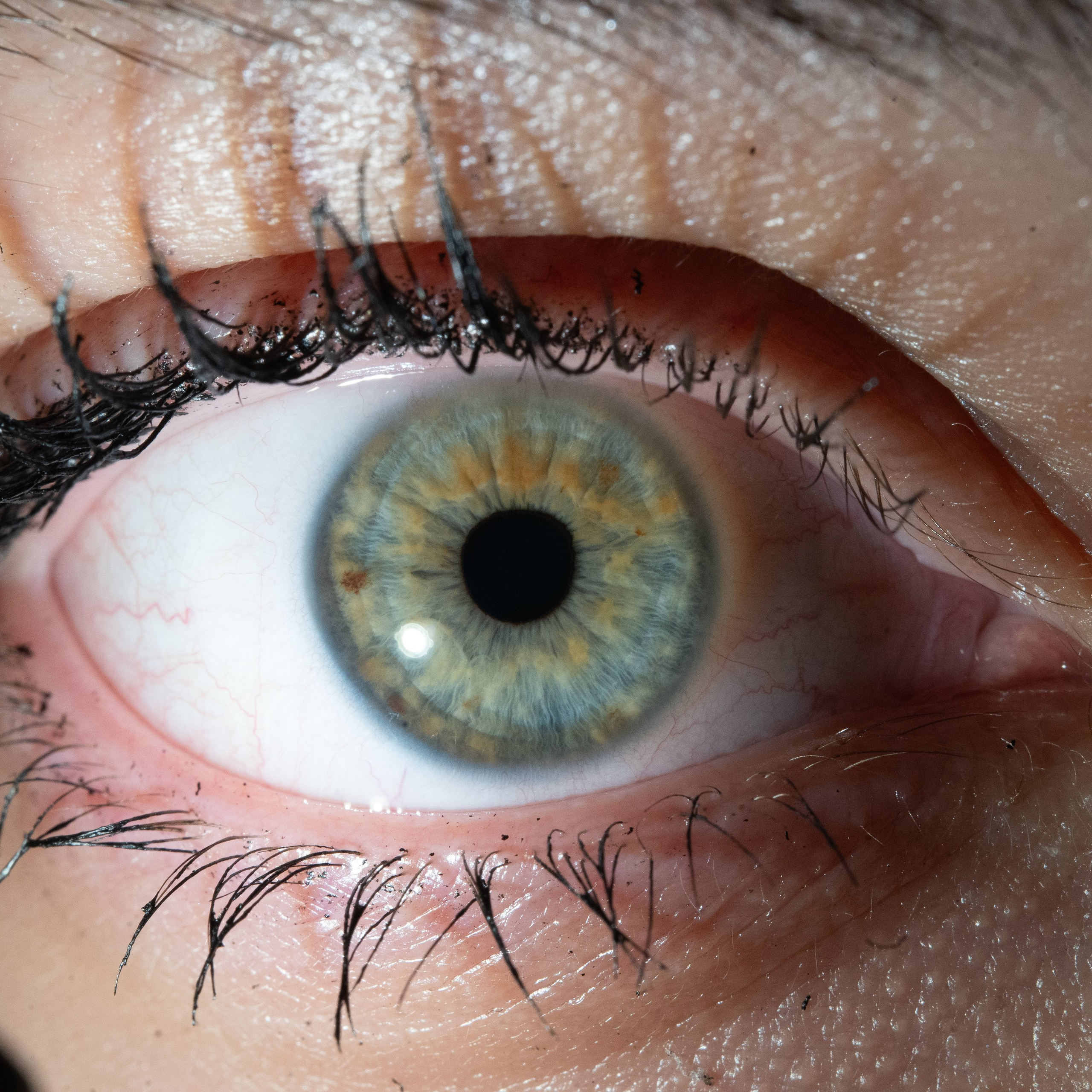 Портфолио — Галерея глаз  Ojo Art. Фотостудия макросъёмки радужки глаз в Севастополе «Ojo art»