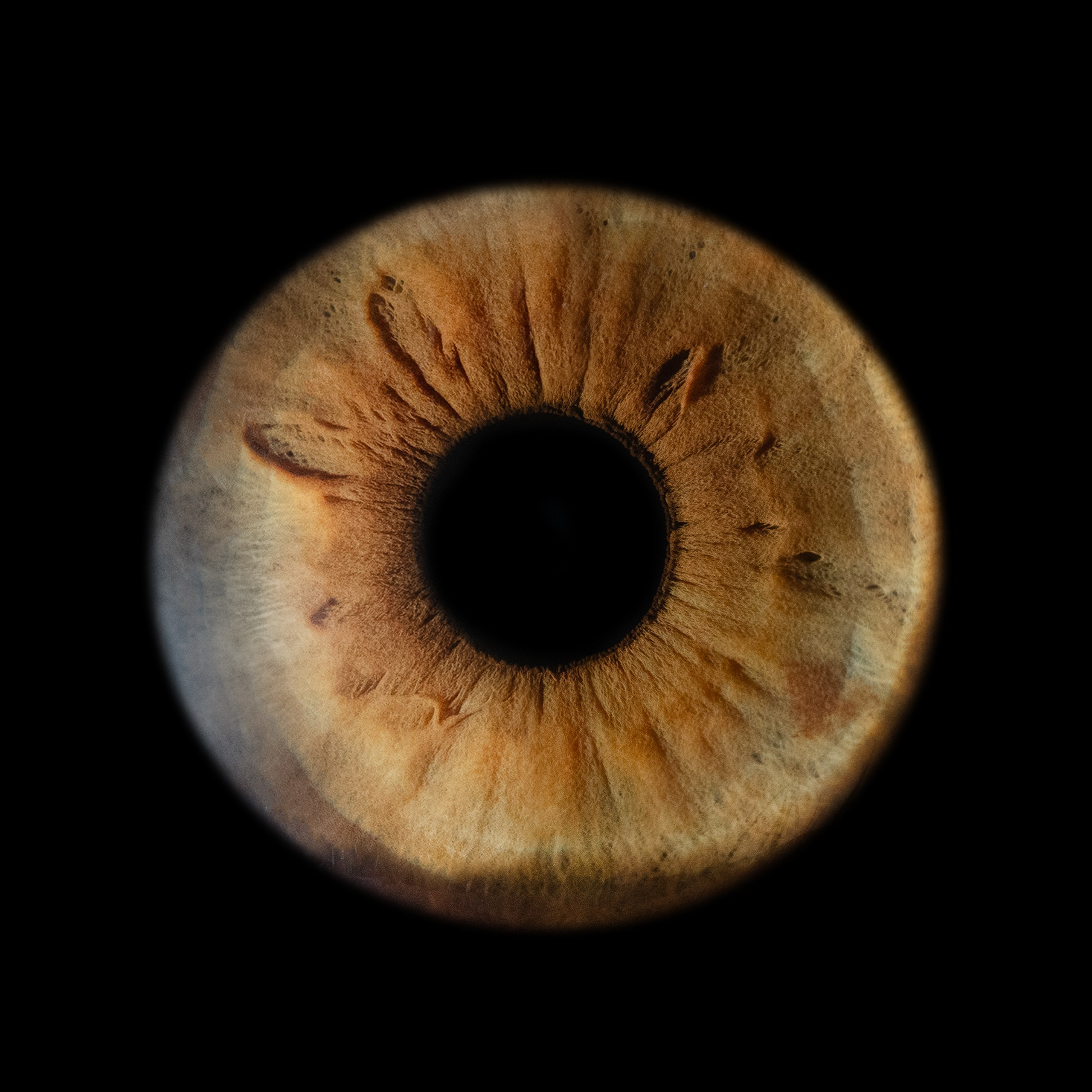 Фото радужки глаза, Севастополь, Ojo Art , фото студия радужки глаза в Крыму.