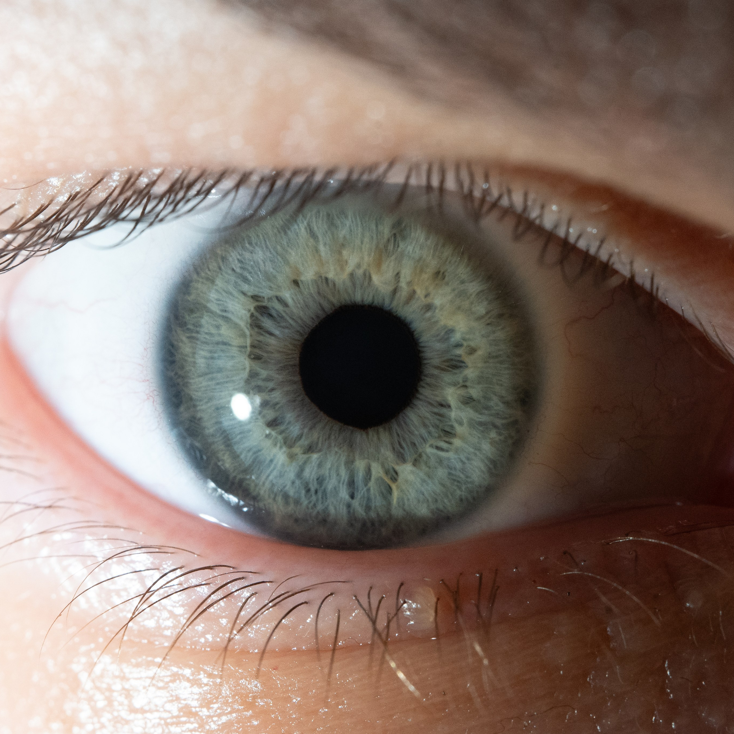 Портфолио — Галерея глаз  Ojo Art. Фотостудия макросъёмки радужки глаз в Севастополе «Ojo art»