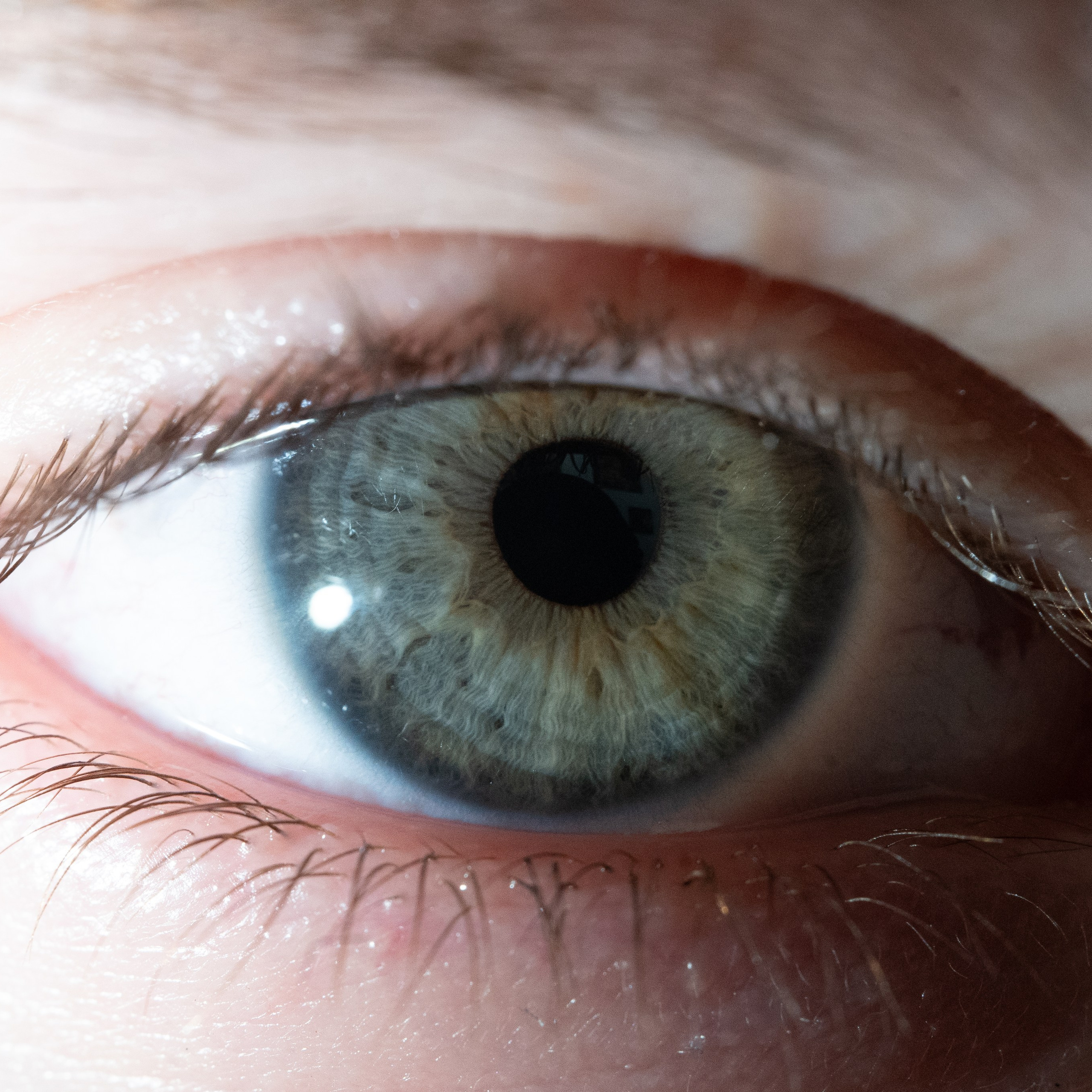 Портфолио — Галерея глаз  Ojo Art. Фотостудия макросъёмки радужки глаз в Севастополе «Ojo art»