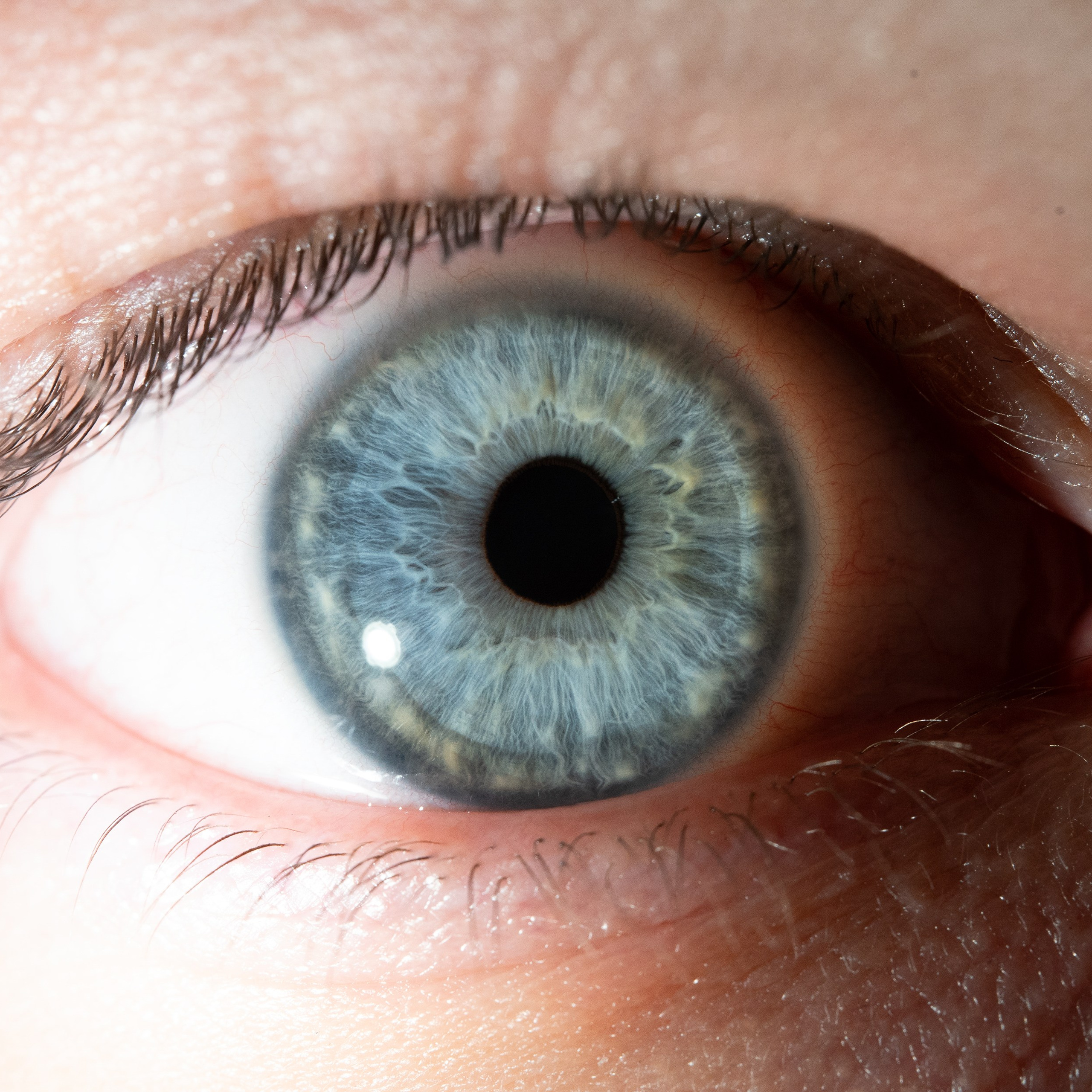 Фотография макро радужки глаза, Севастополь, Ojo Art , фото студия радужки глаза в Крыму, Севастополь 