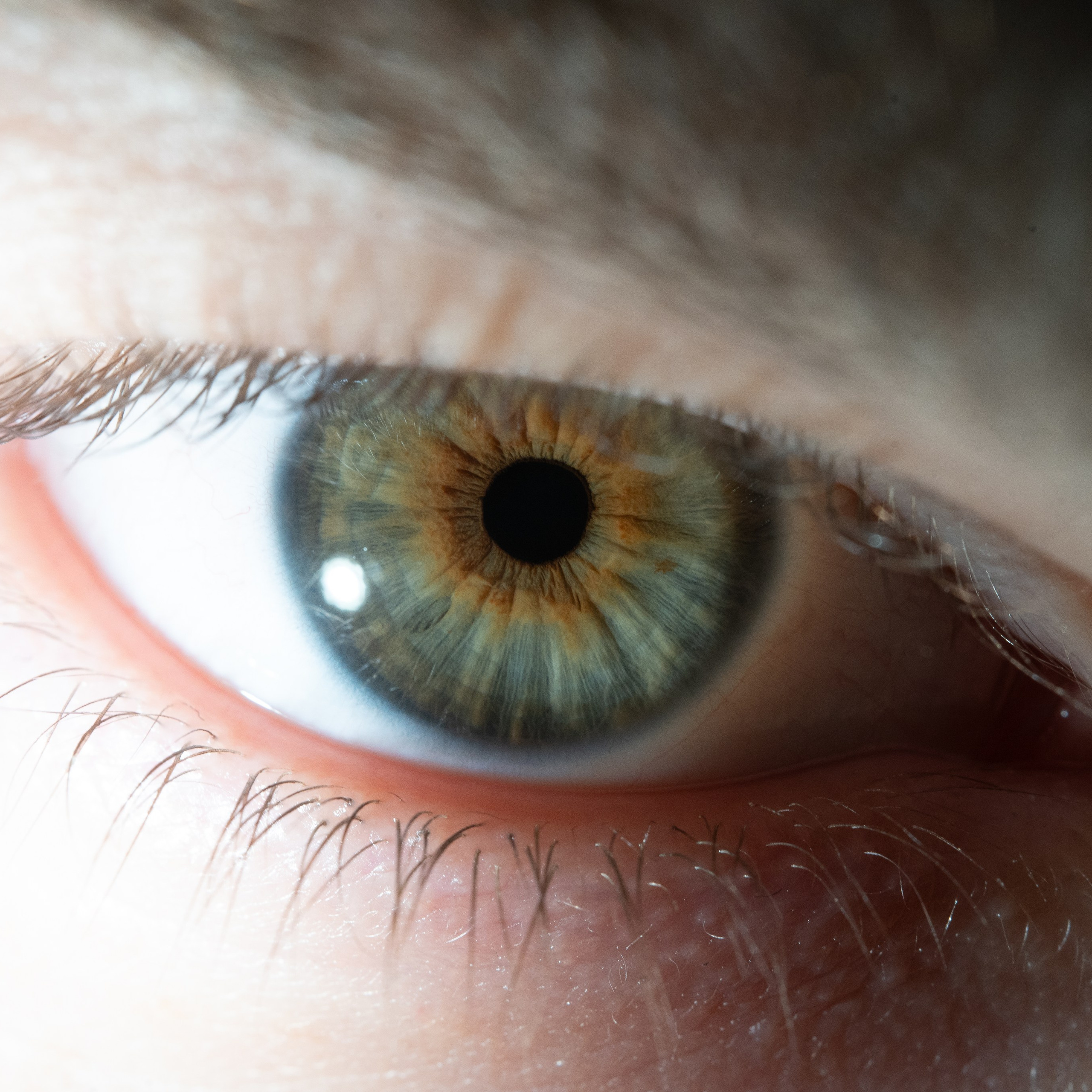 Фотография макро радужки глаза, Севастополь, Ojo Art , фото студия радужки глаза в Крыму, Севастополь 