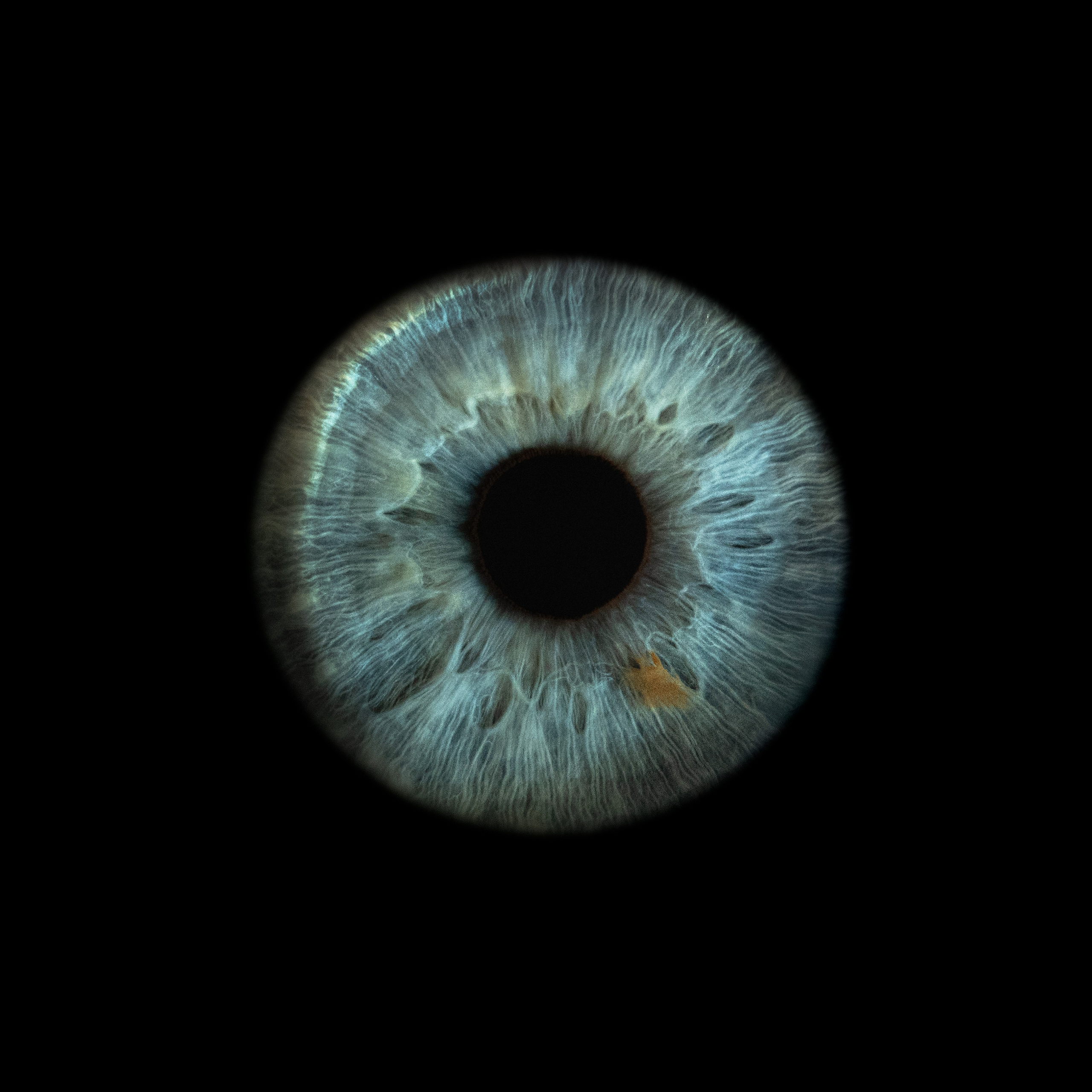 Фото радужки глаза, Севастополь, Ojo Art , фото студия радужки глаза в Крыму.