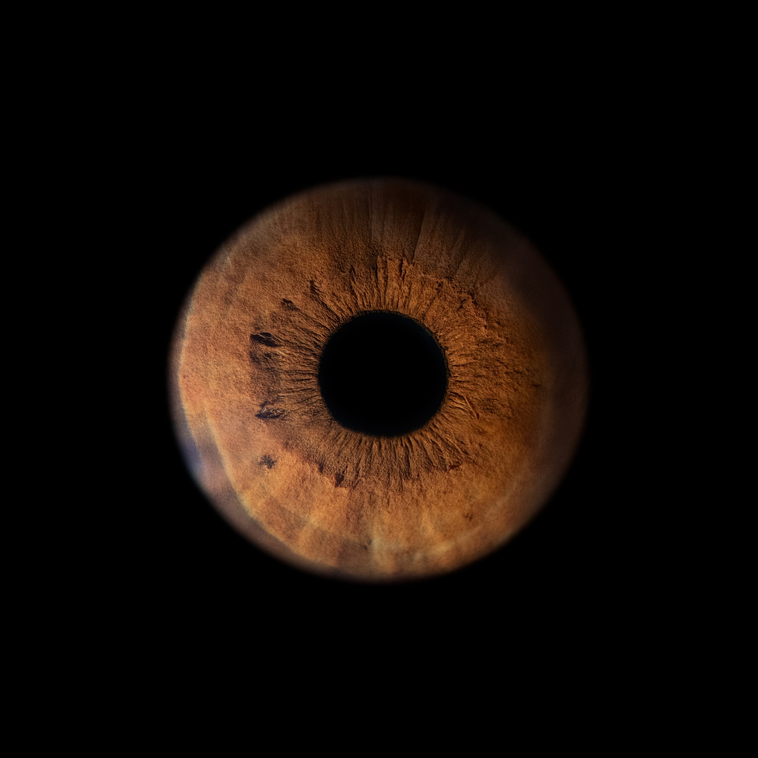 Фото радужки глаза, Севастополь, Ojo Art , фото студия радужки глаза в Крыму.