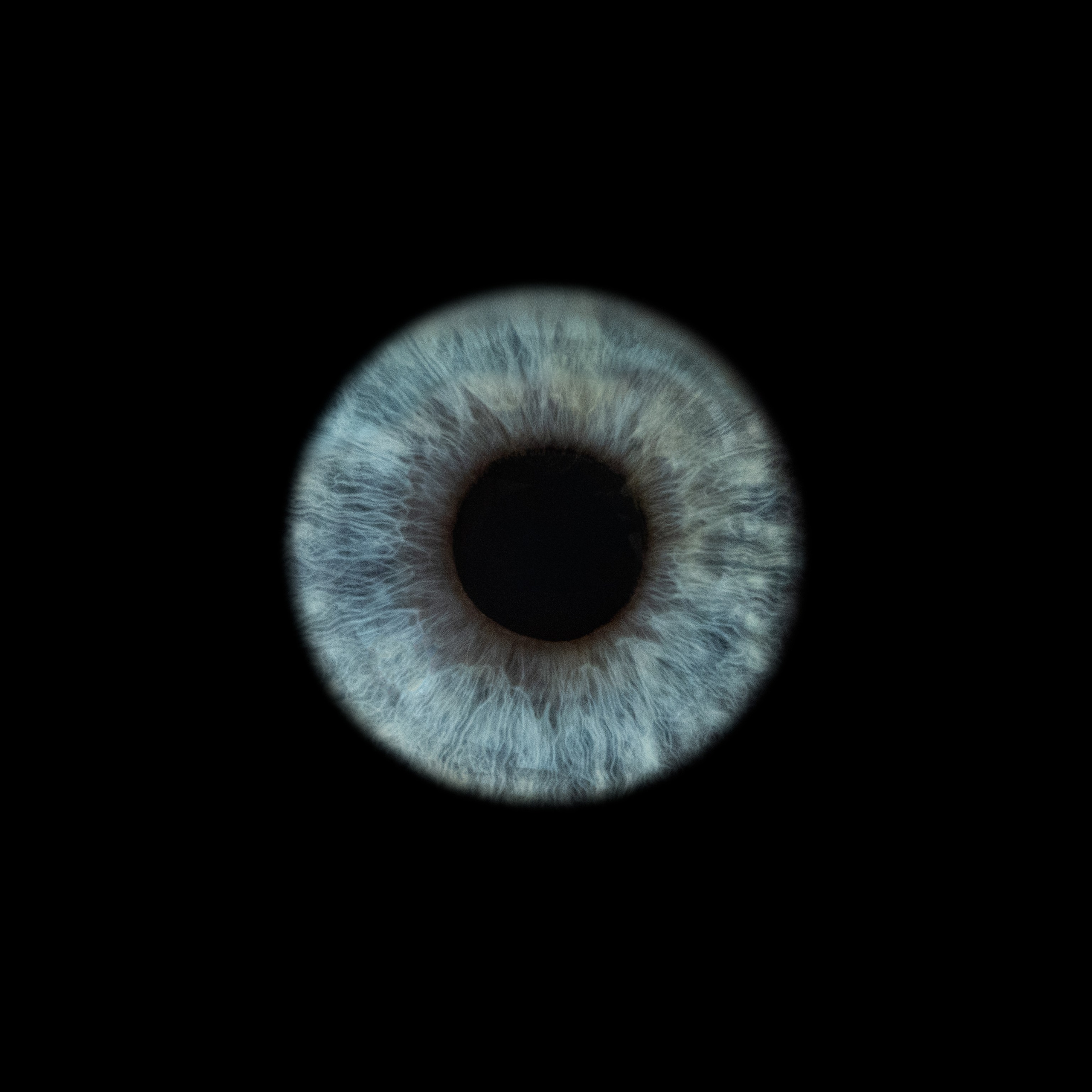 Портфолио — Галерея макрофотографий радужек глаза от Ojo Art, Севастополь. Фотостудия макросъёмки радужки глаз в Севастополе «Ojo art»