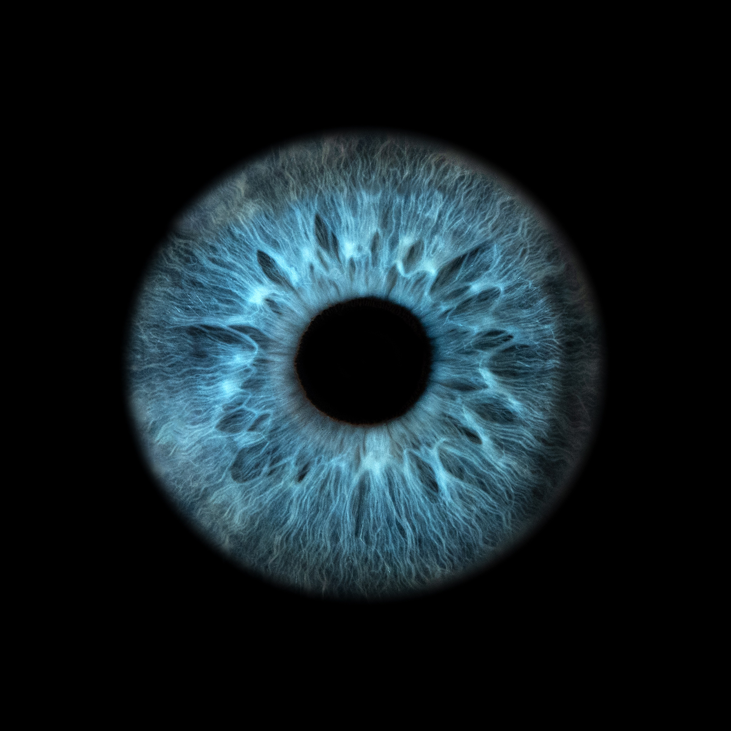 Ojo NEWS. Фотостудия макросъёмки радужки глаз в Севастополе «Ojo art»