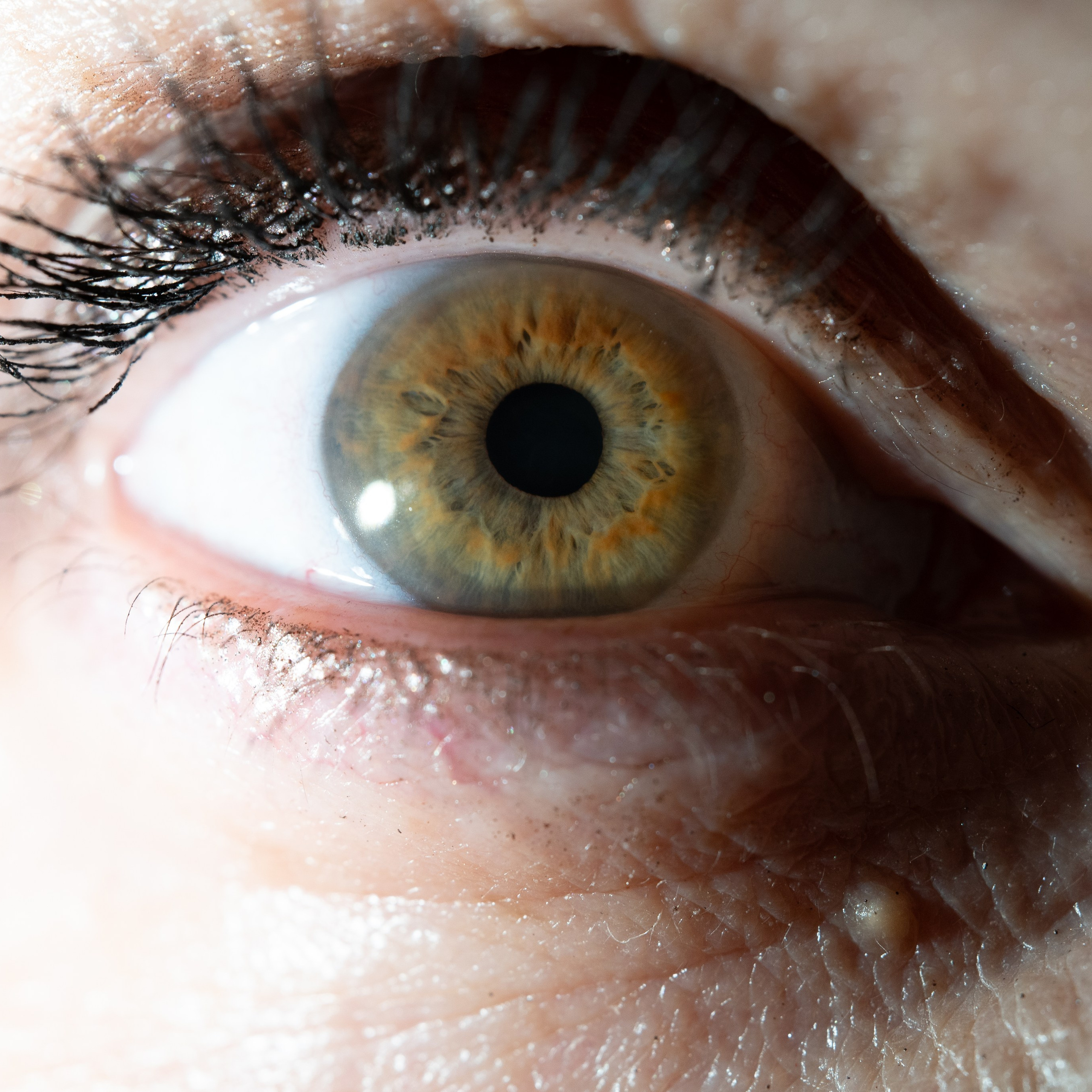 Фотография макро радужки глаза, Севастополь, Ojo Art , фото студия радужки глаза в Крыму, Севастополь 