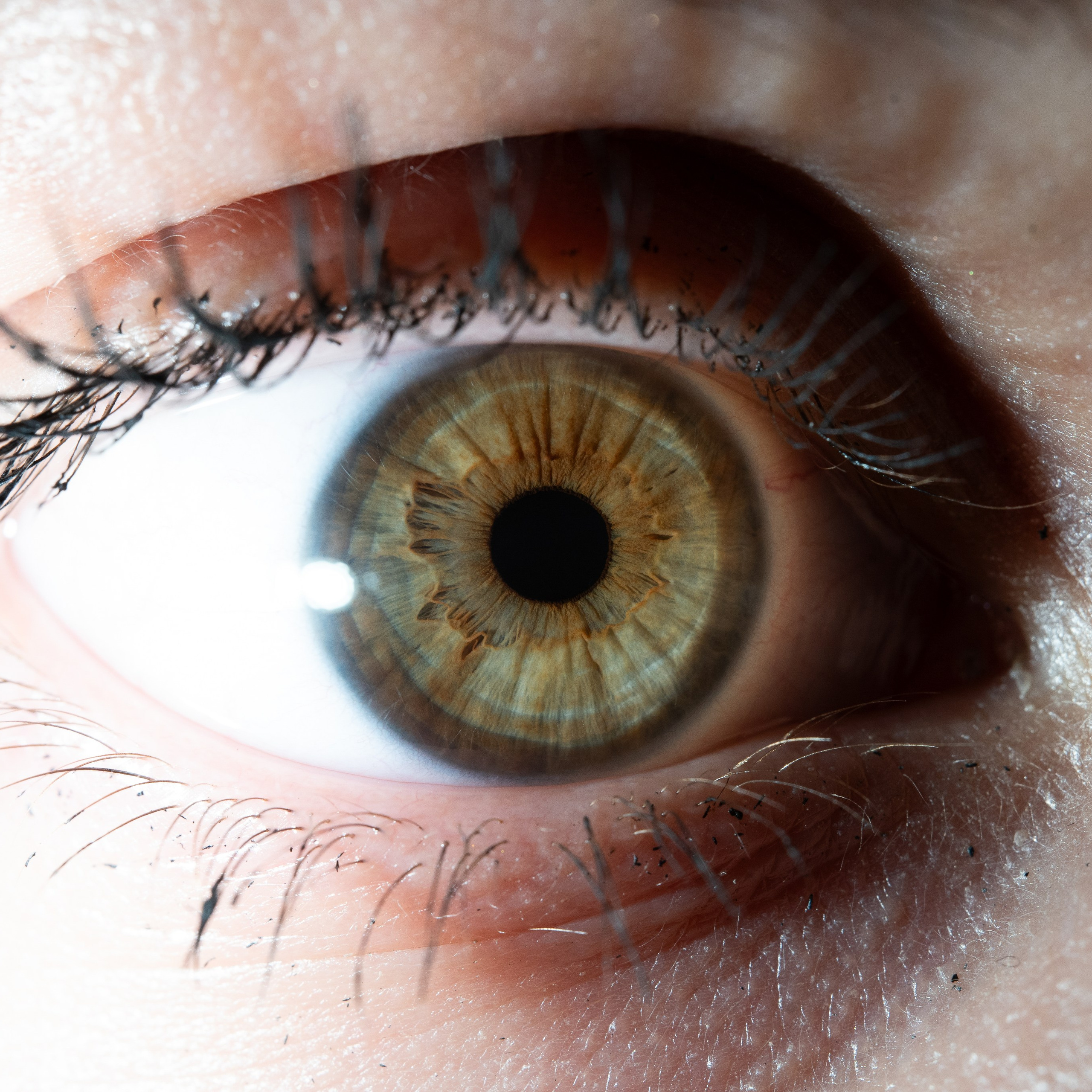 Фотография макро радужки глаза, Севастополь, Ojo Art , фото студия радужки глаза в Крыму, Севастополь 