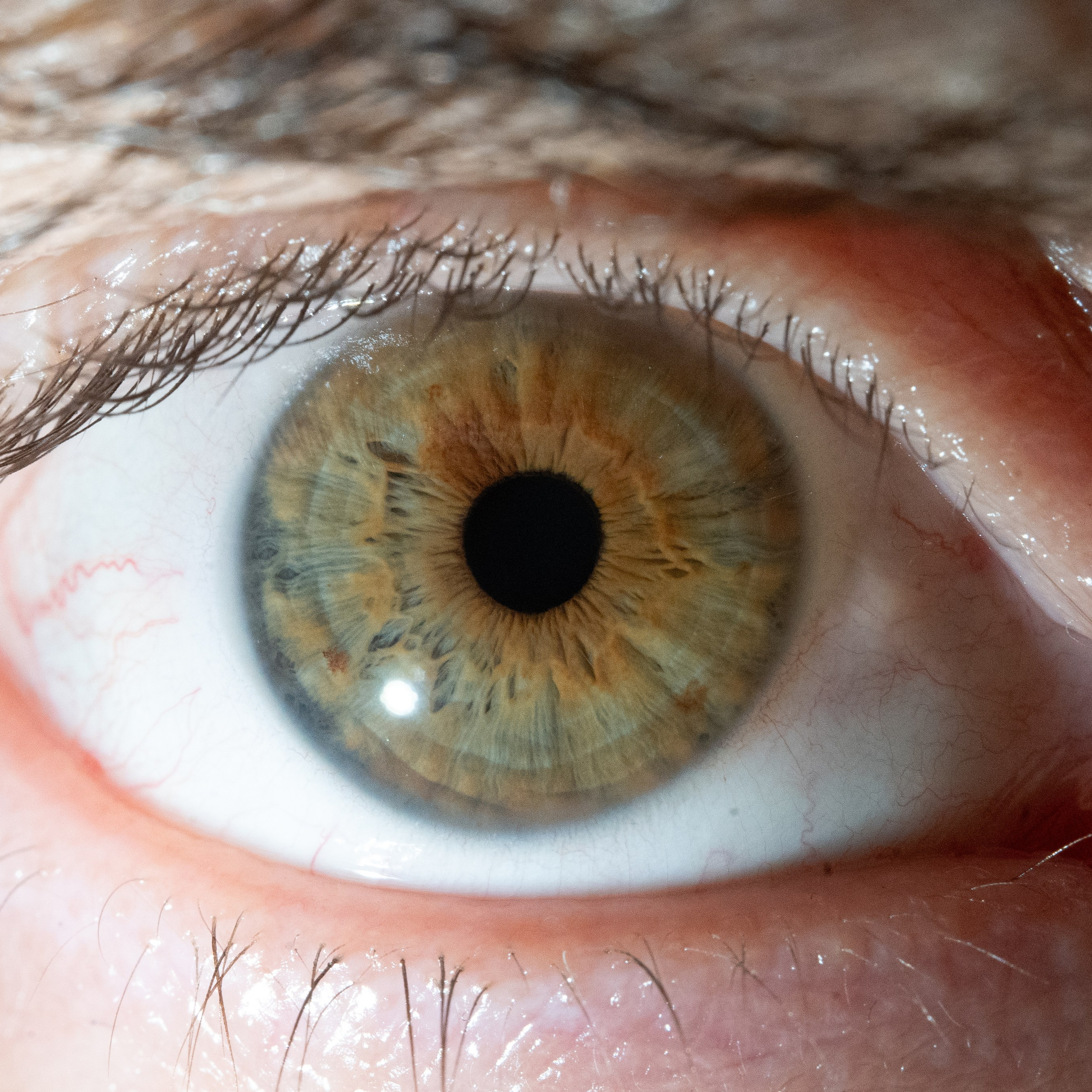 Портфолио — Галерея глаз  Ojo Art. Фотостудия макросъёмки радужки глаз в Севастополе «Ojo art»