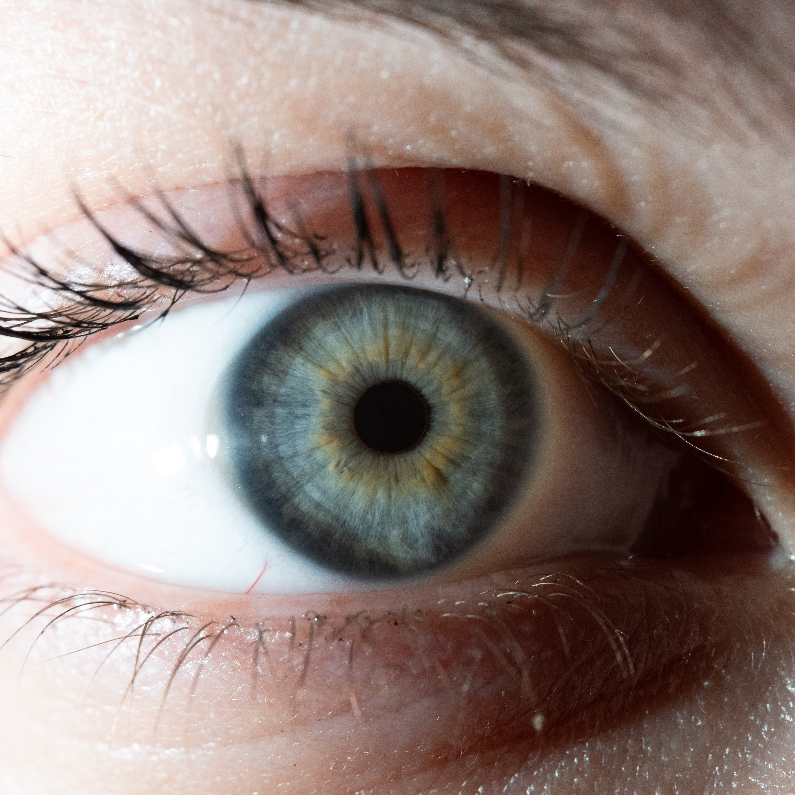 Фотография макро радужки глаза, Севастополь, Ojo Art , фото студия радужки глаза в Крыму, Севастополь 