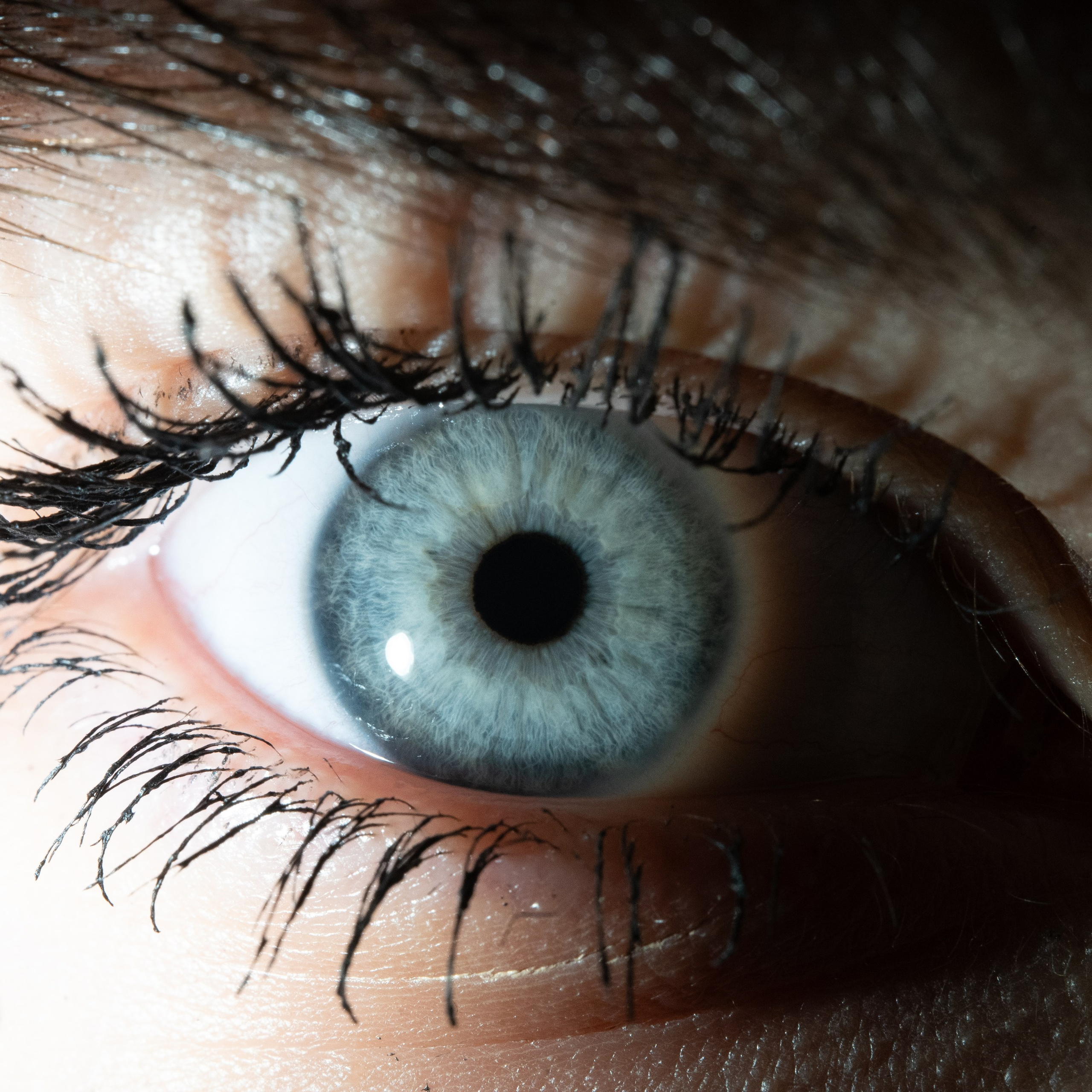 Портфолио — Галерея глаз  Ojo Art. Фотостудия макросъёмки радужки глаз в Севастополе «Ojo art»