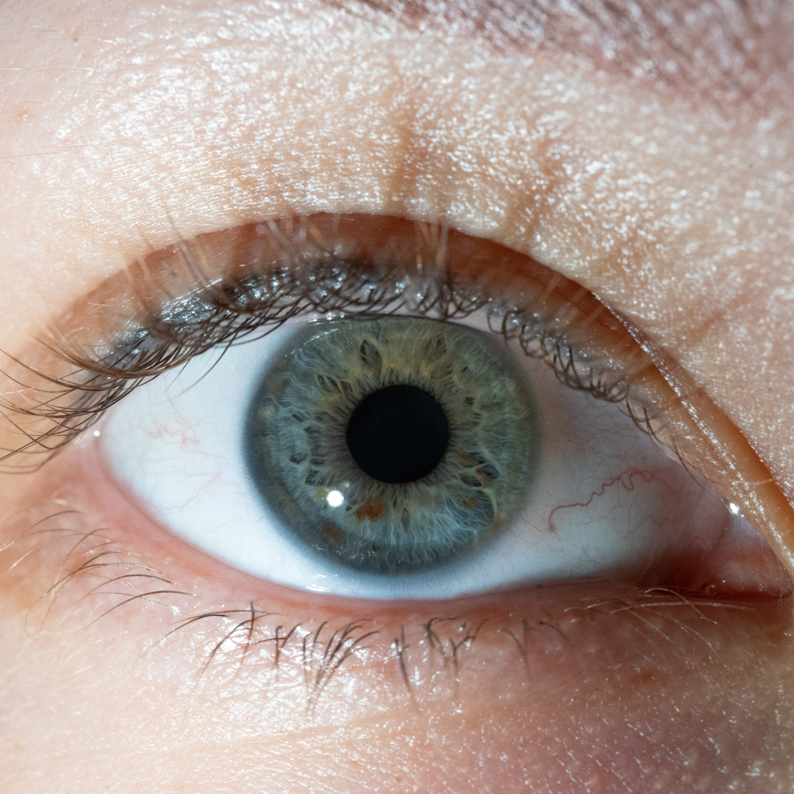 Портфолио — Галерея глаз  Ojo Art. Фотостудия макросъёмки радужки глаз в Севастополе «Ojo art»