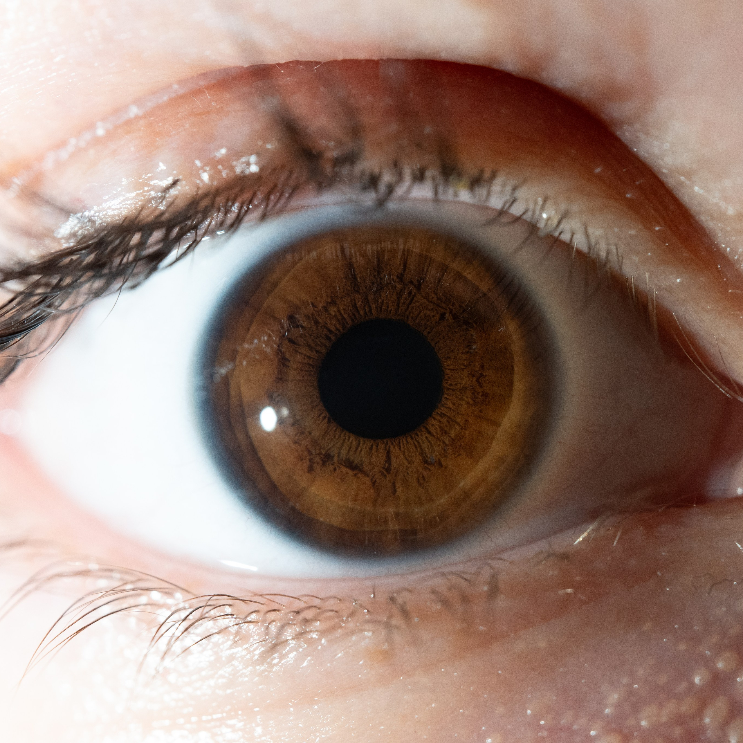 Фотография макро радужки глаза, Севастополь, Ojo Art , фото студия радужки глаза в Крыму, Севастополь 