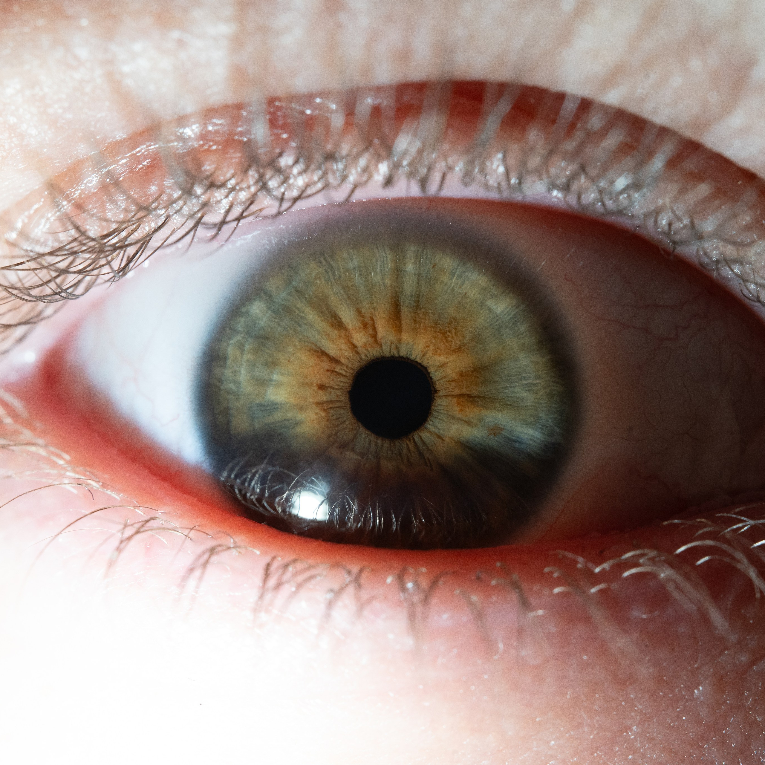 Фотография макро радужки глаза, Севастополь, Ojo Art , фото студия радужки глаза в Крыму, Севастополь 