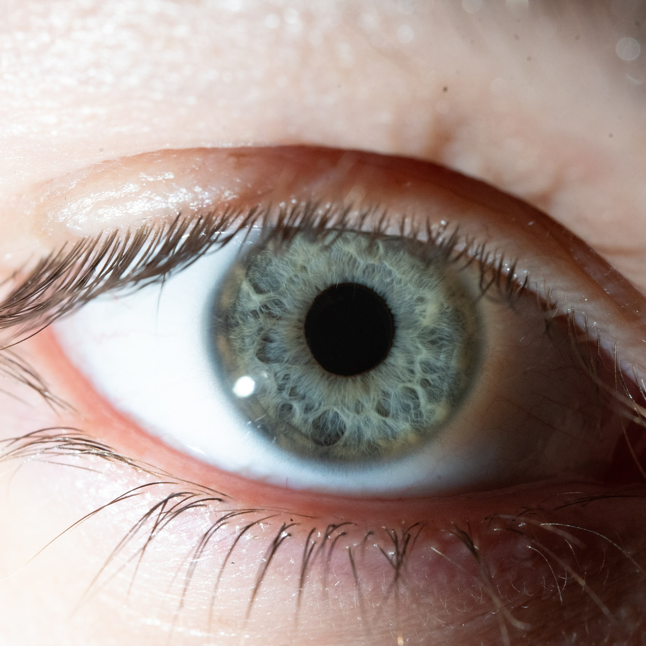 Портфолио — Галерея глаз  Ojo Art. Фотостудия макросъёмки радужки глаз в Севастополе «Ojo art»