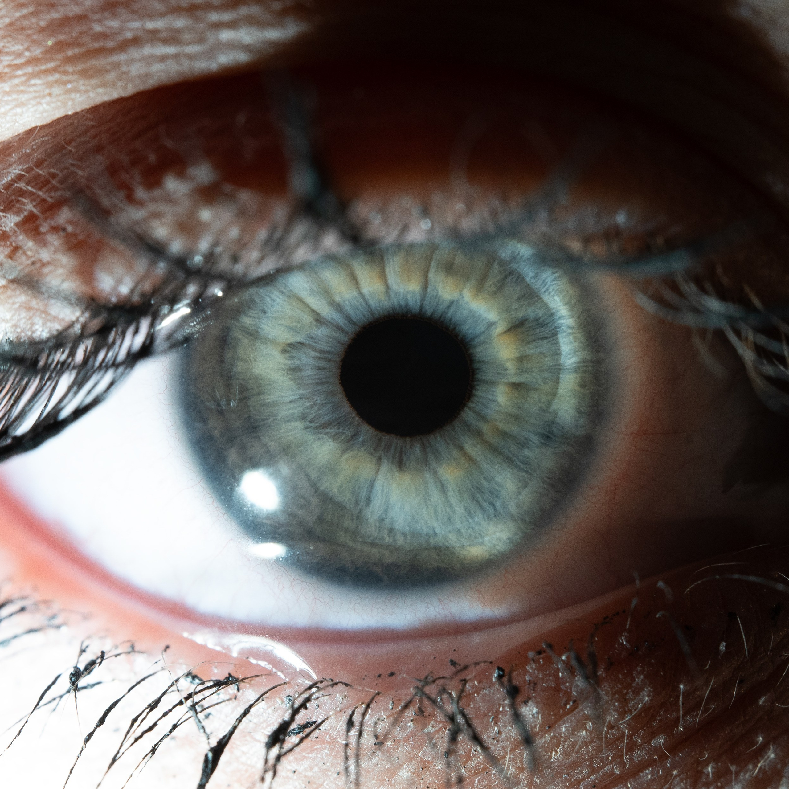 Фотография макро радужки глаза, Севастополь, Ojo Art , фото студия радужки глаза в Крыму, Севастополь 