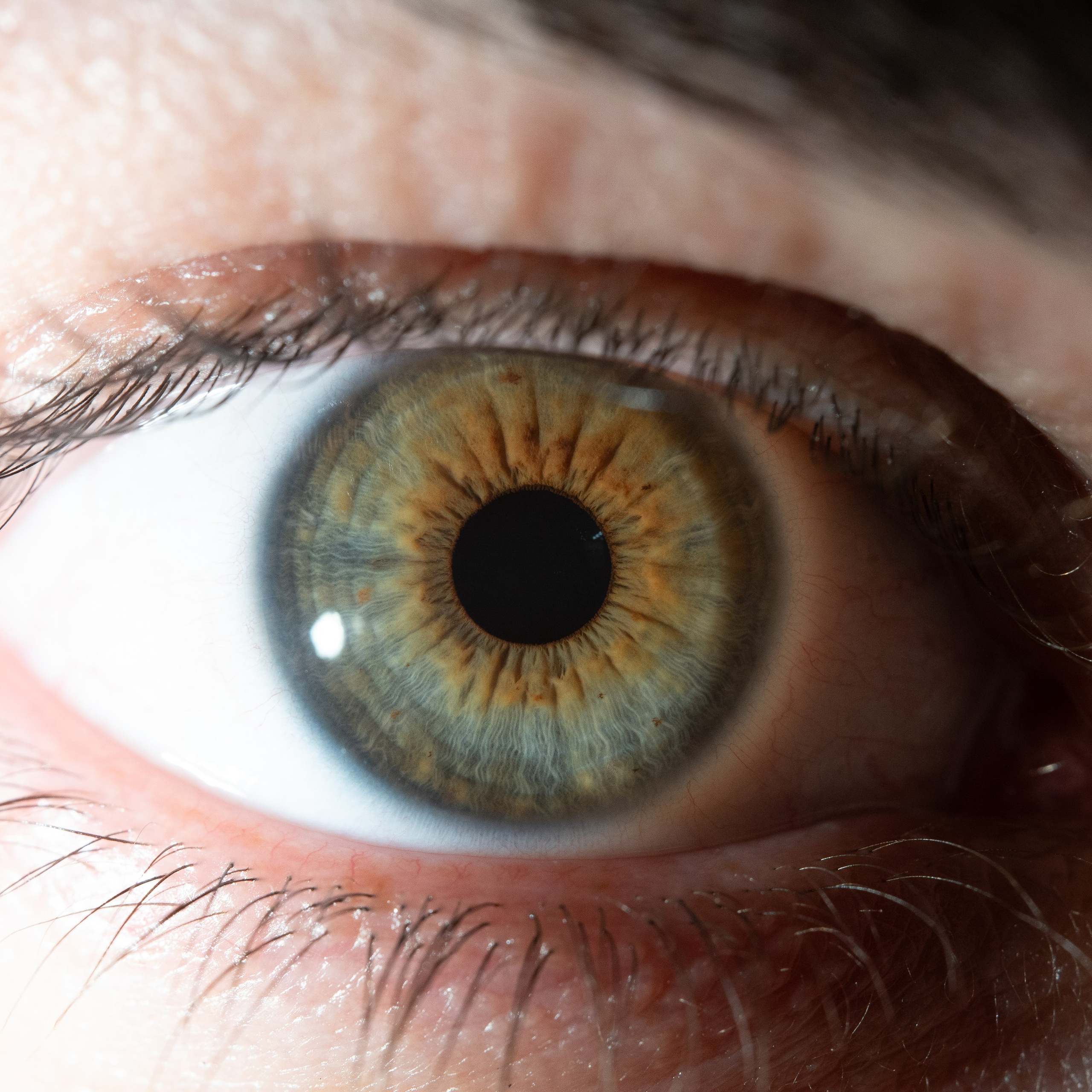 Фотография макро радужки глаза, Севастополь, Ojo Art , фото студия радужки глаза в Крыму, Севастополь 