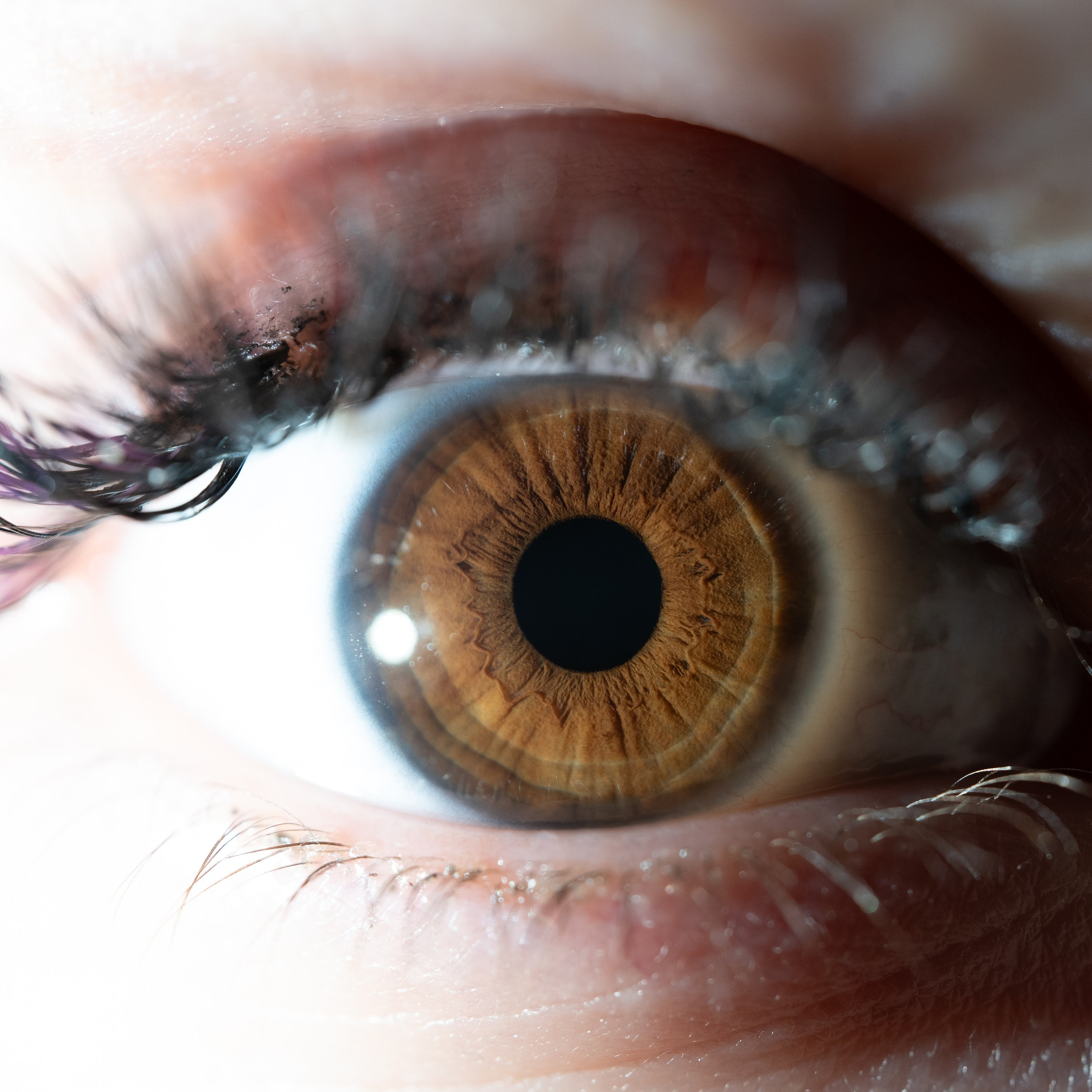 Фотография макро радужки глаза, Севастополь, Ojo Art , фото студия радужки глаза в Крыму, Севастополь 