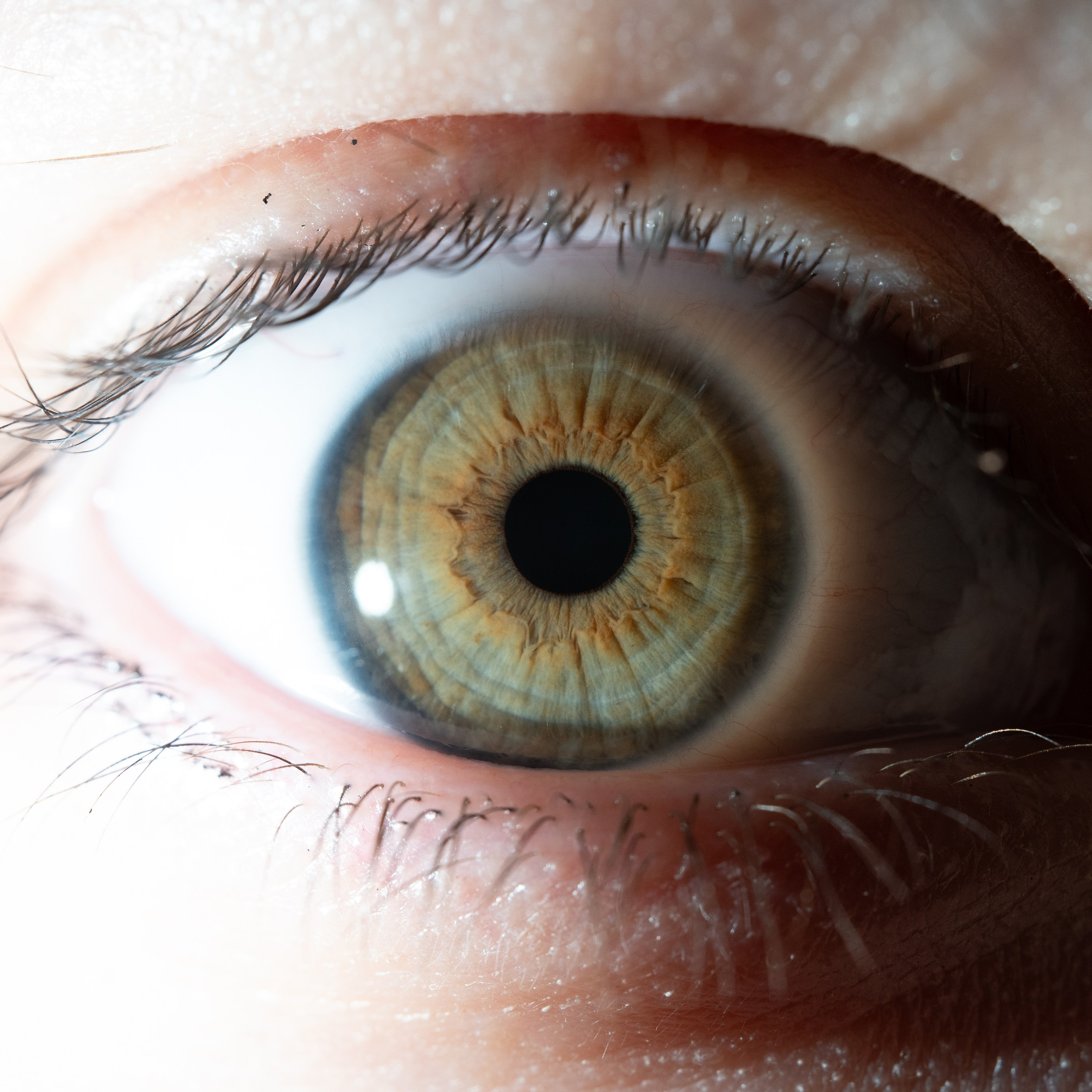 Фотография макро радужки глаза, Севастополь, Ojo Art , фото студия радужки глаза в Крыму, Севастополь 