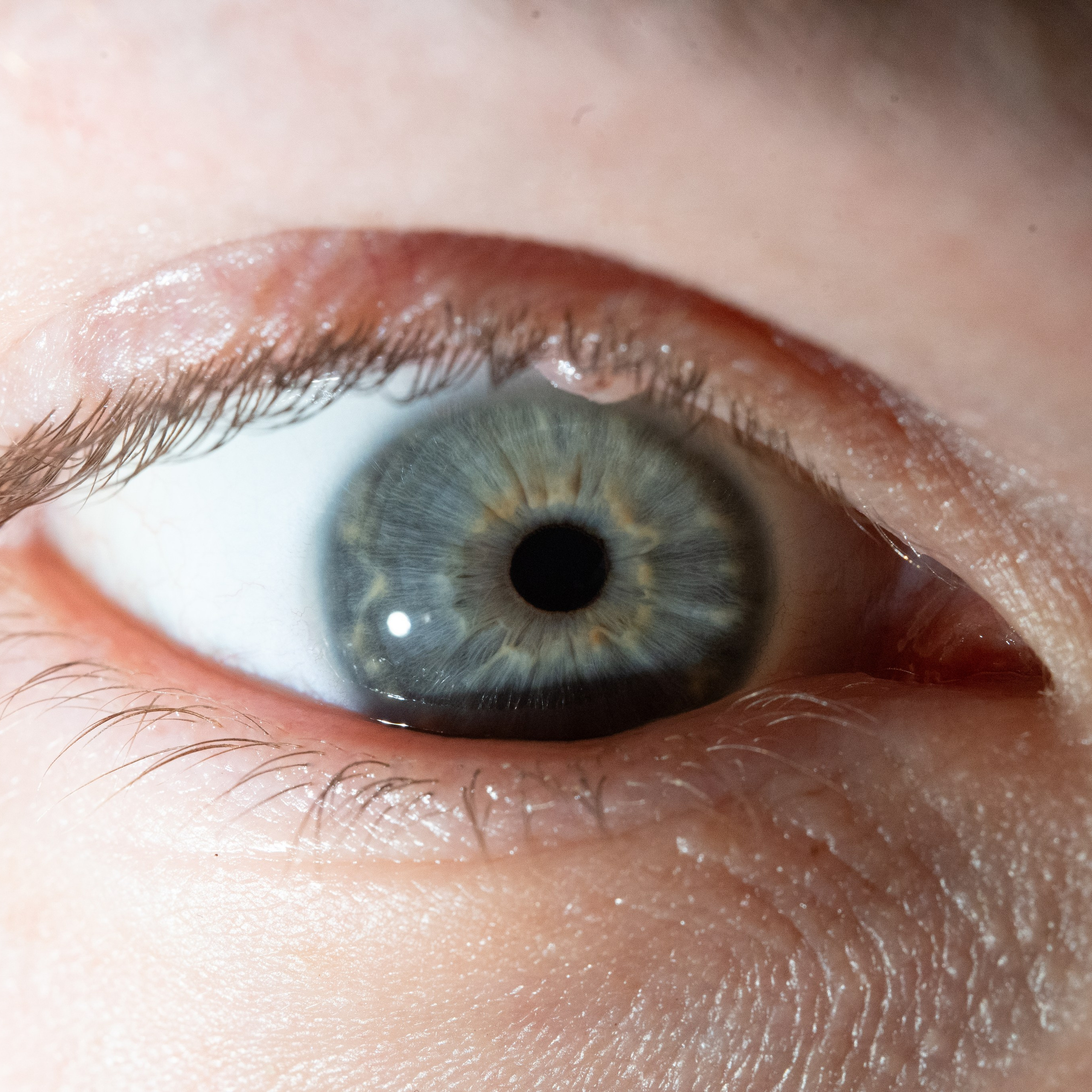 Портфолио — Галерея глаз  Ojo Art. Фотостудия макросъёмки радужки глаз в Севастополе «Ojo art»