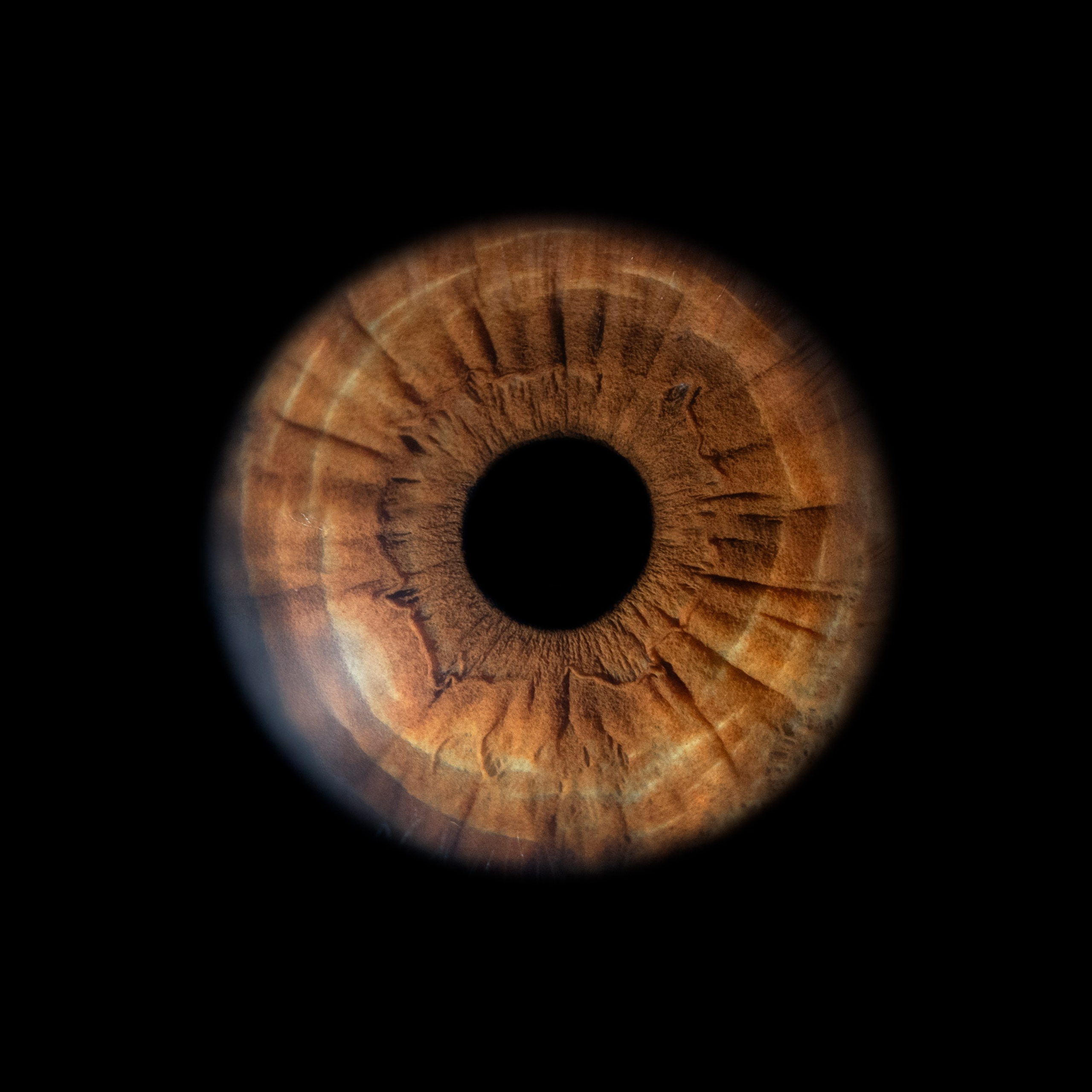 Фото радужки глаза, Севастополь, Ojo Art , фото студия радужки глаза в Крыму.