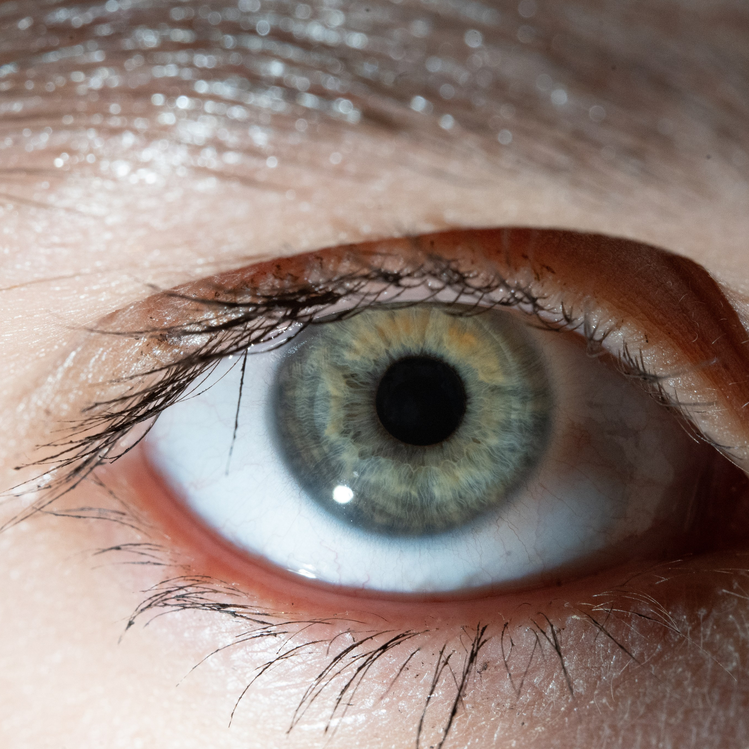 Портфолио — Галерея глаз  Ojo Art. Фотостудия макросъёмки радужки глаз в Севастополе «Ojo art»