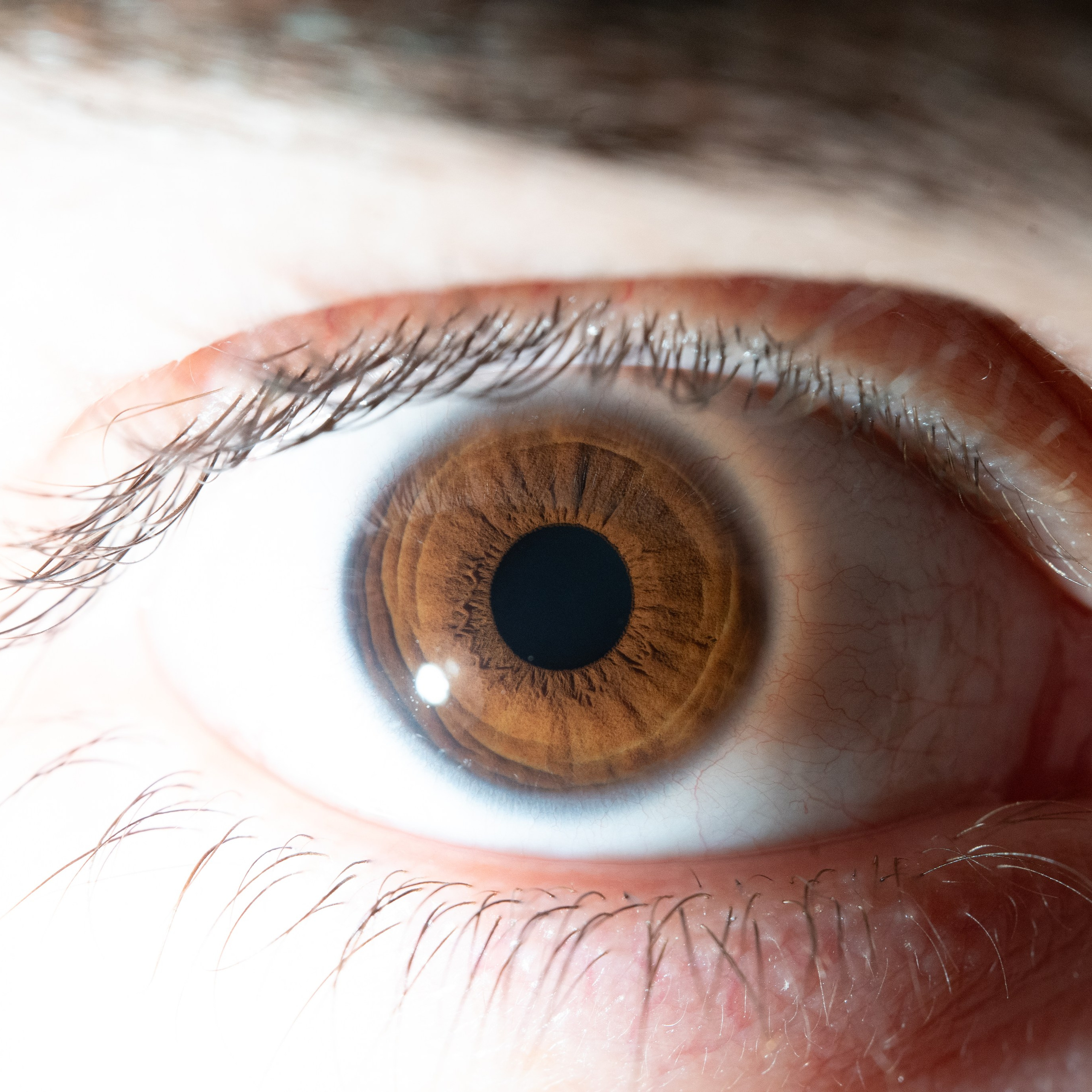 Портфолио — Галерея глаз  Ojo Art. Фотостудия макросъёмки радужки глаз в Севастополе «Ojo art»